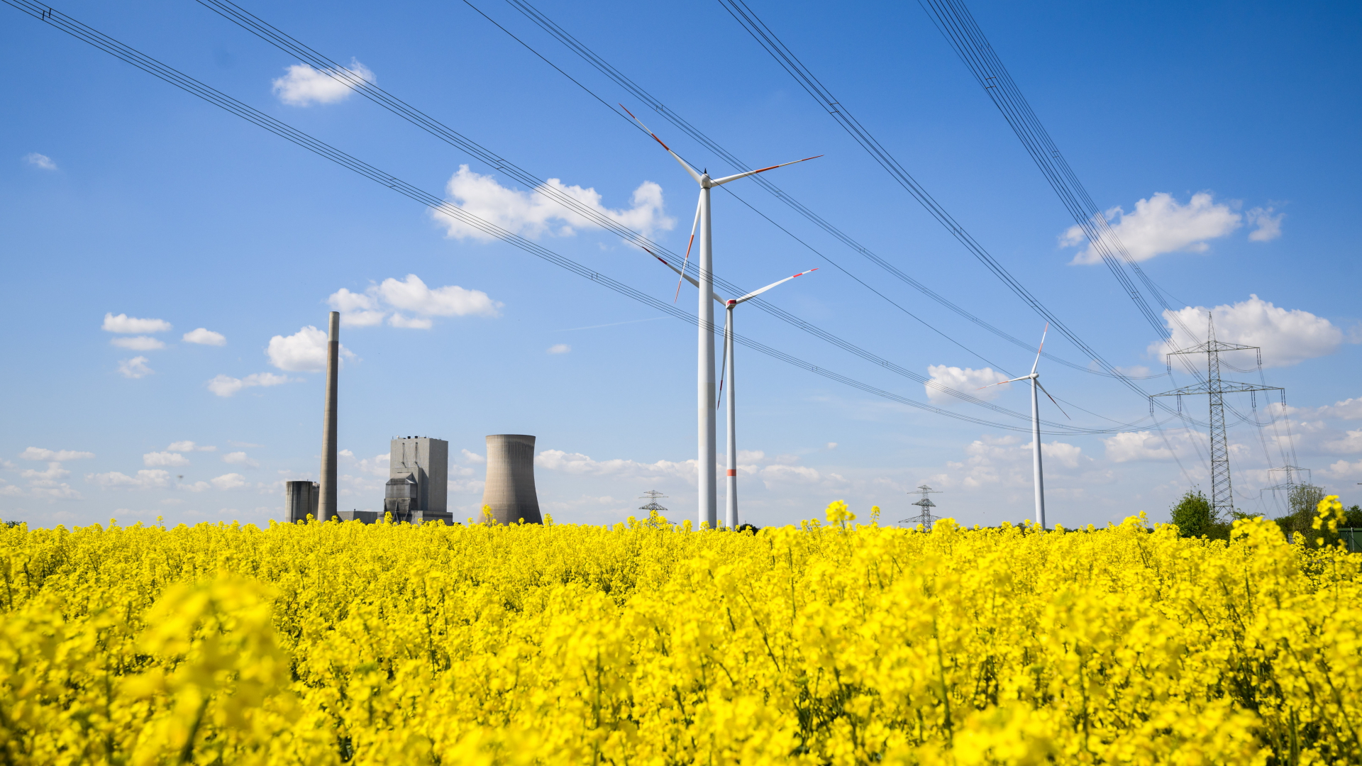 Windräder, eine Hochspannungsleitung und das stillgelegte Kohlekraftwerk Mehrum stehen hinter einem Rapsfeld im Landkreis Peine in Niedersachsen. | dpa