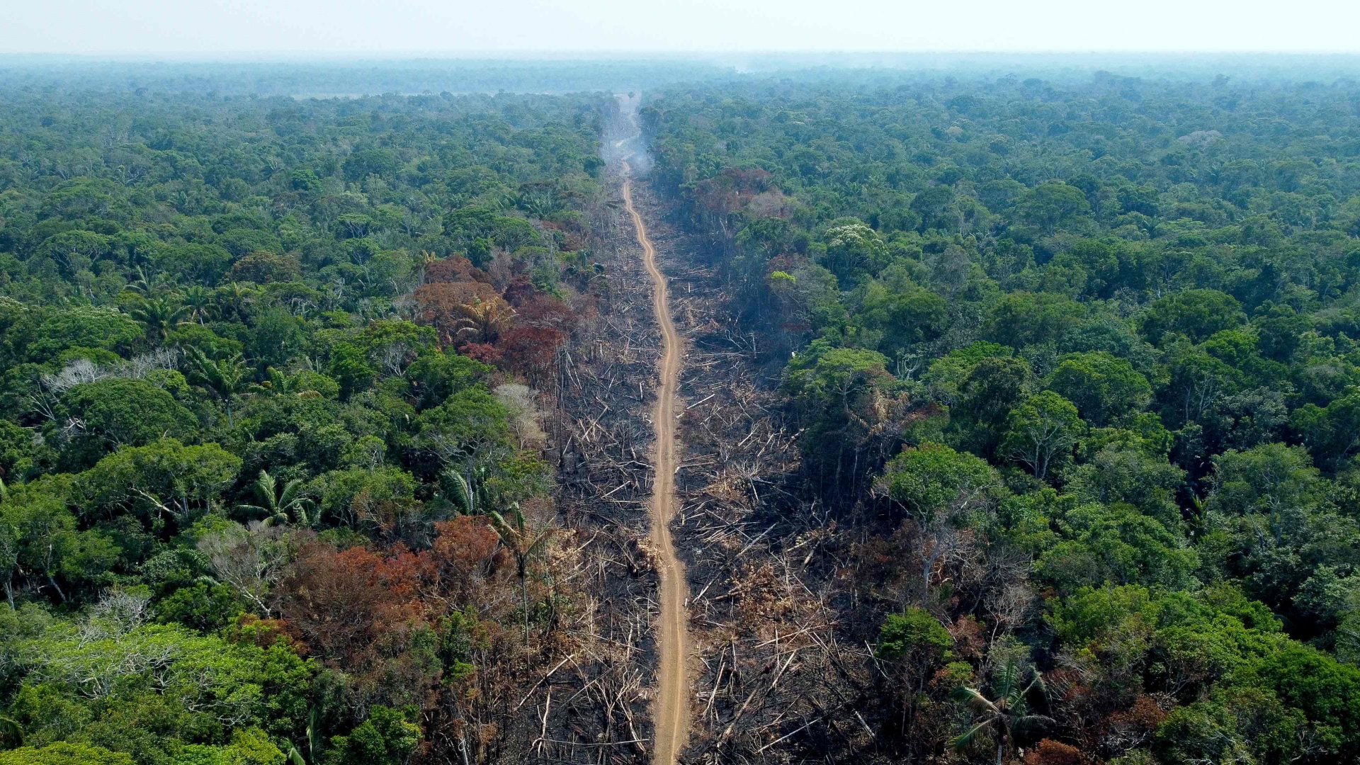 Eine entwaldete Strecke im Amazonasgebiet. | AFP