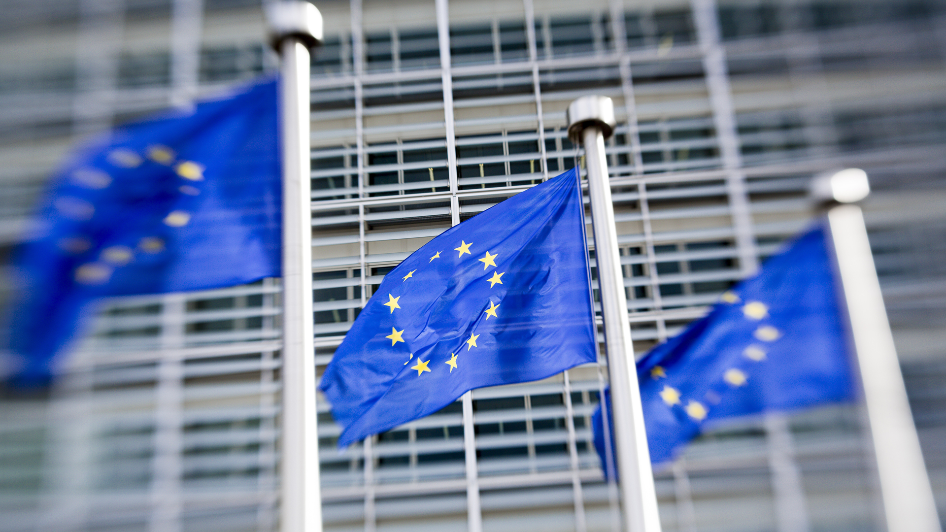 EU-Flaggen wehen in Brüssel