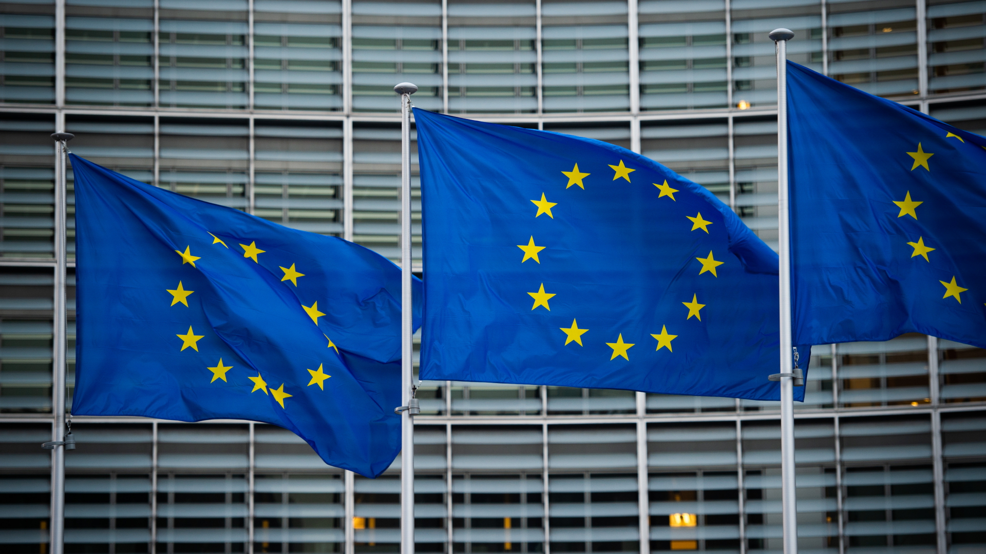 Flaggen der Europäischen Union wehen im Wind. | dpa