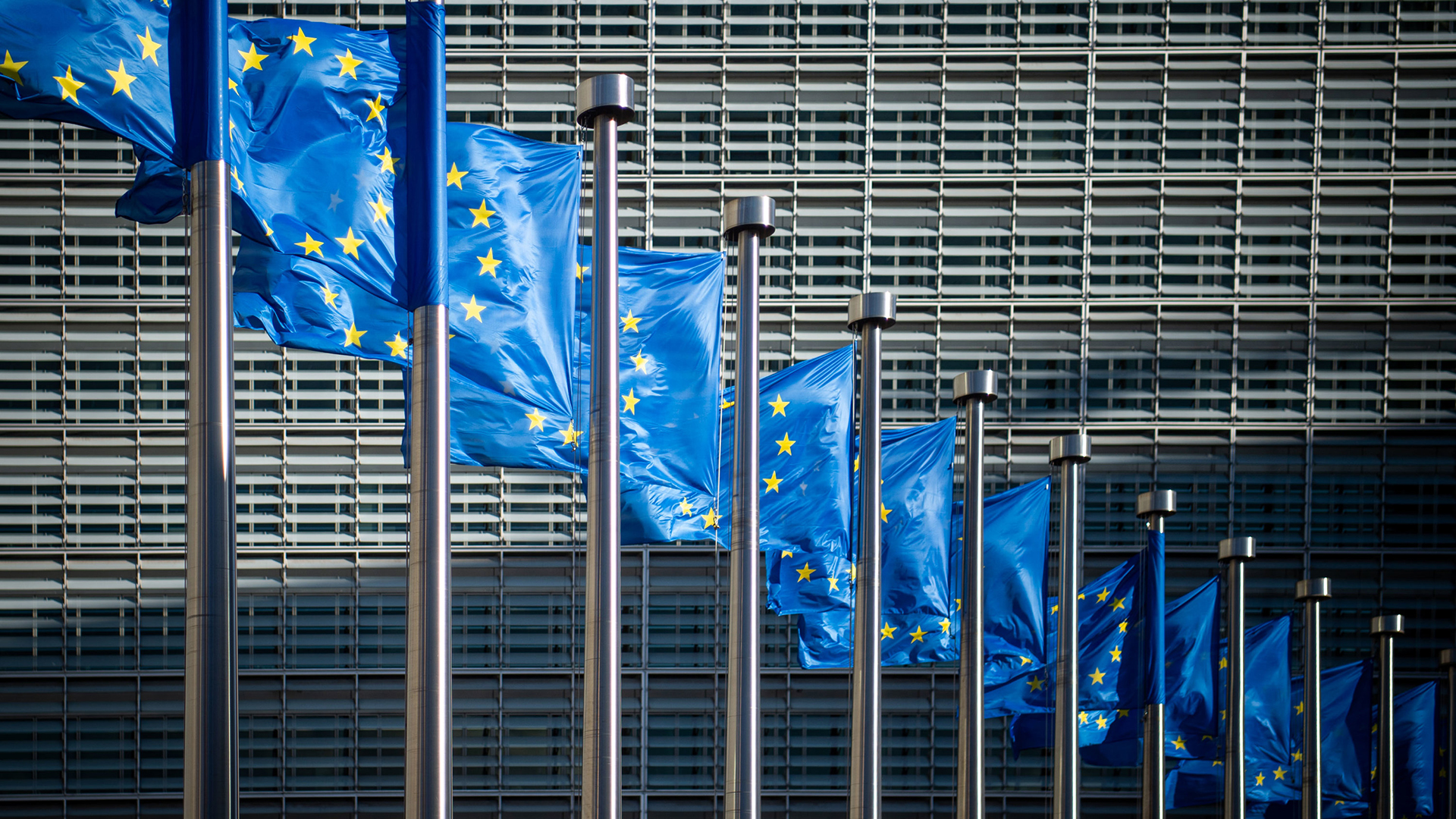 EU-Flaggen | dpa