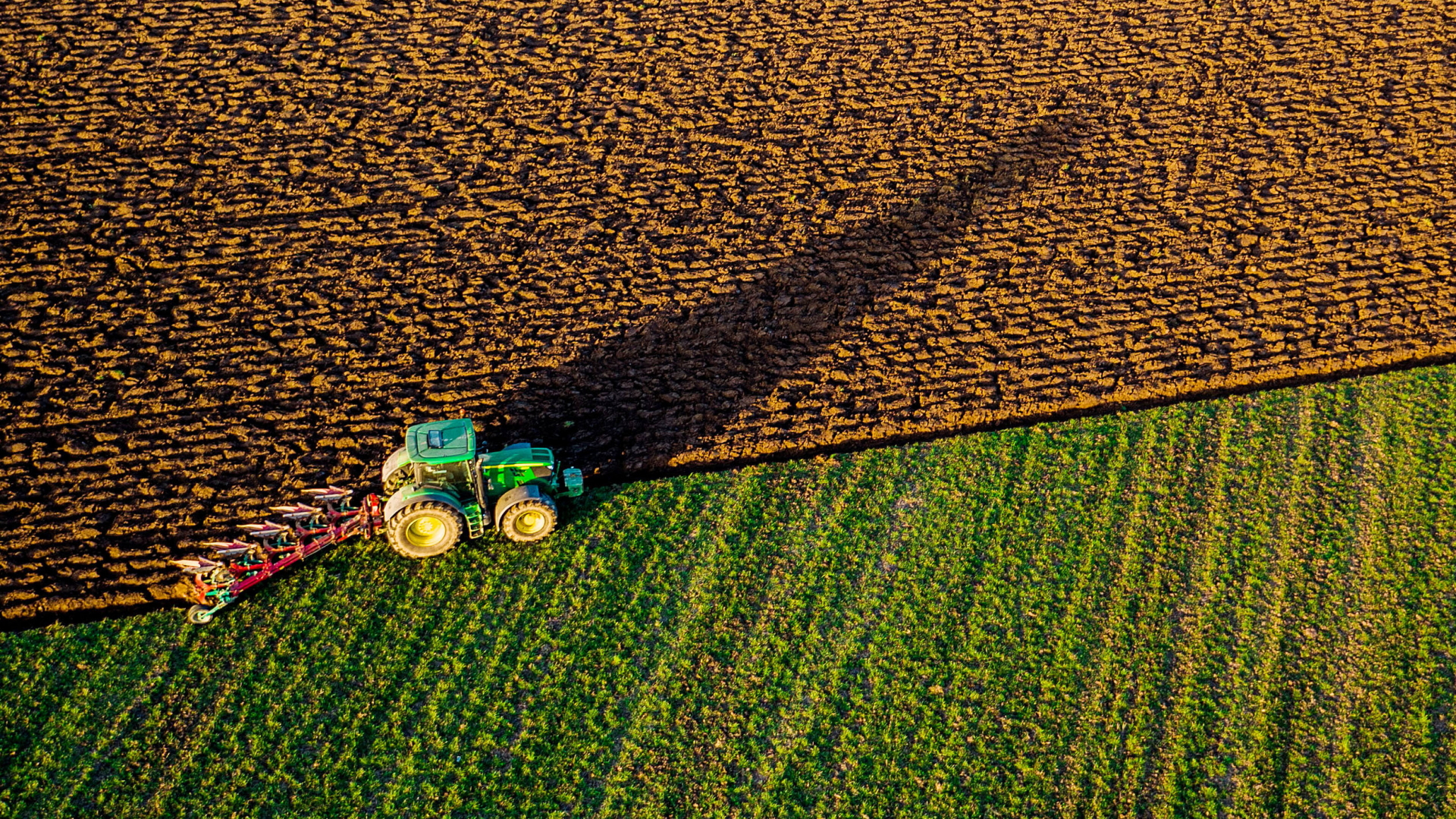 Ein Traktor pflügt einen Acker eines Biohofs bei Medewege in Mecklenburg-Vorpommern.