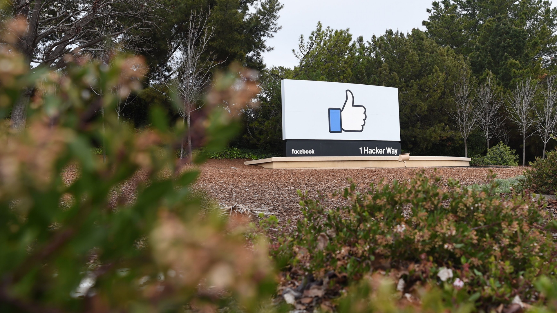 Facebook-Logo in der Firmenzentrale in Menlo Park (US-Bundesstaat Kalifornien) | AFP