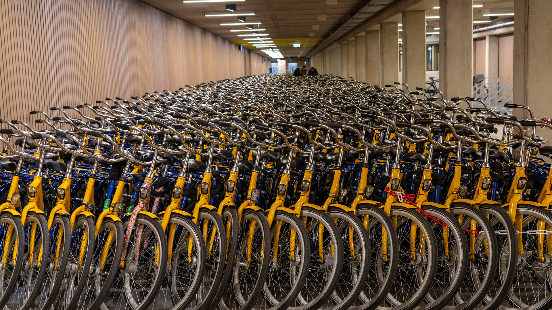 Hunderte Fahrräder in einer Mietstation im Hauptbahnhof von Utrecht, Niederlande | picture alliance / Jochen Tack