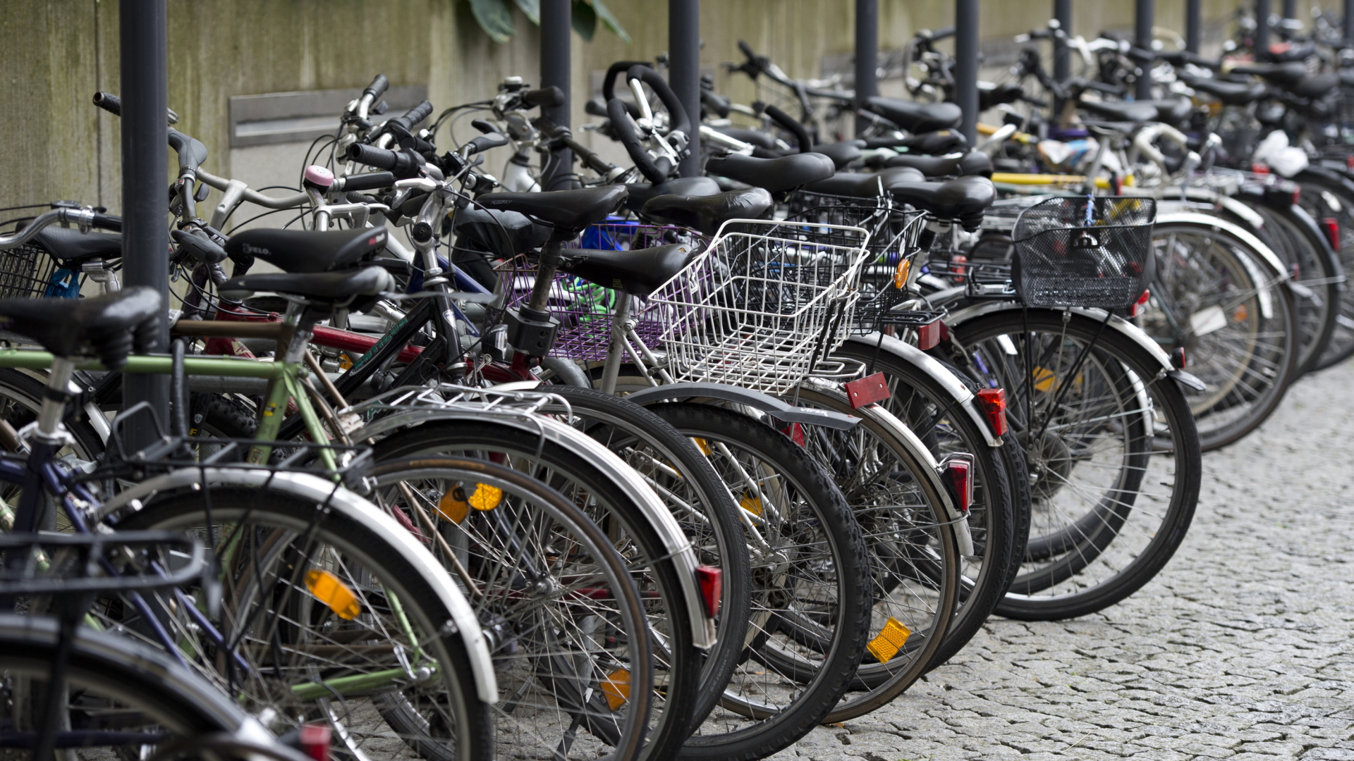 Fahrräder an einem Stellplatz in Freiburg | dpa