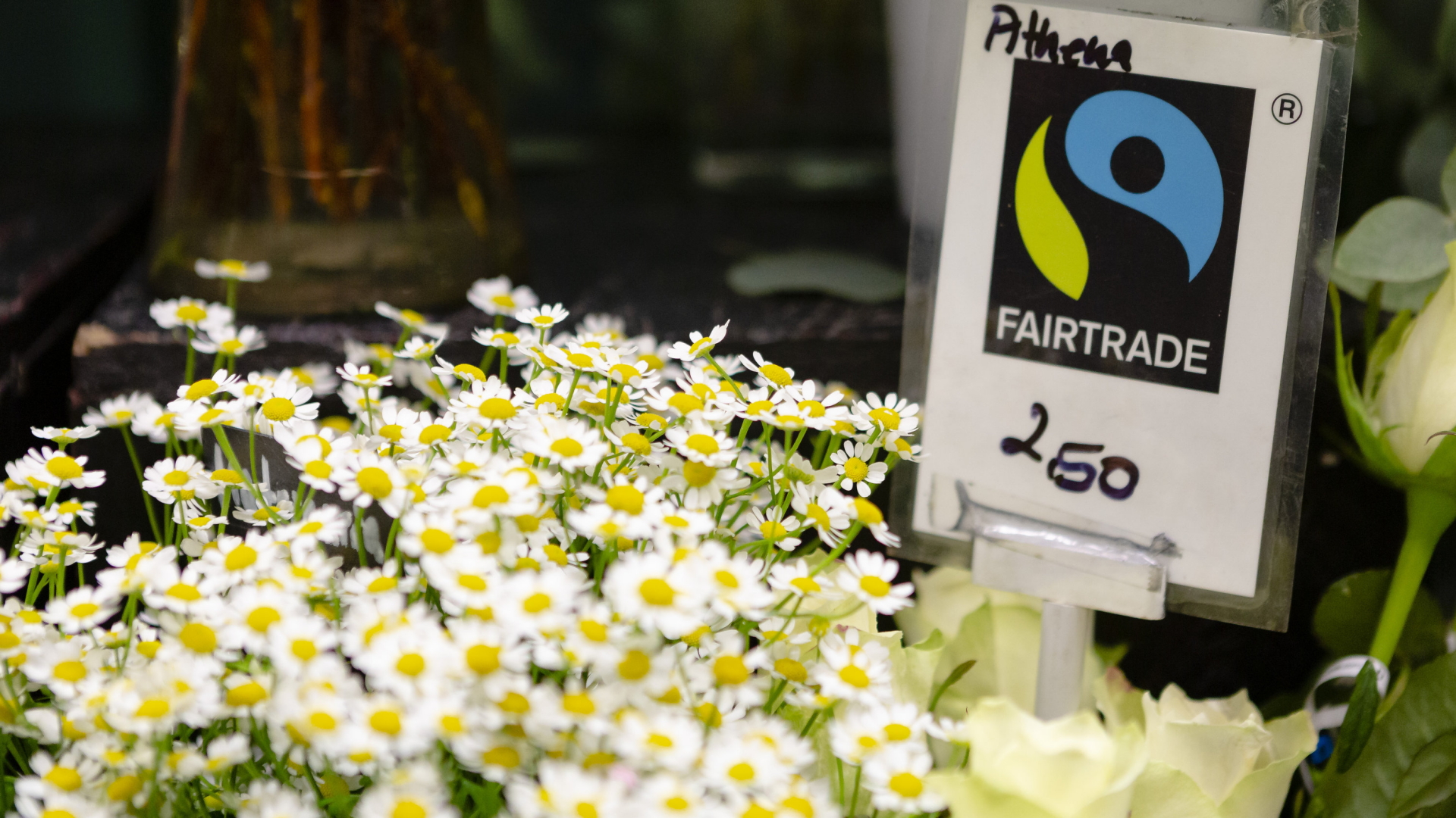 Fair gehandelte Blumen | dpa