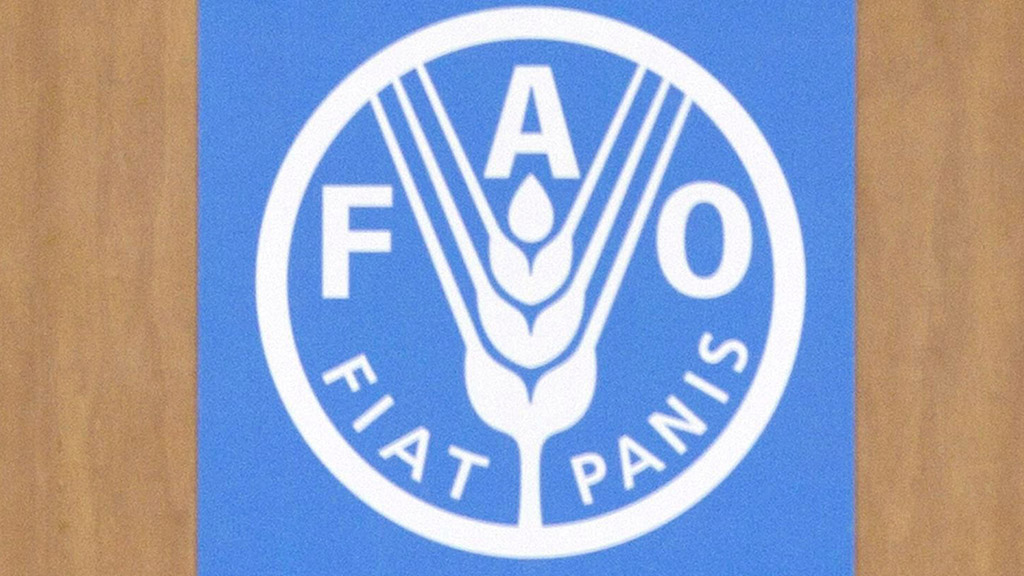 Logo der FAO | picture alliance / dpa