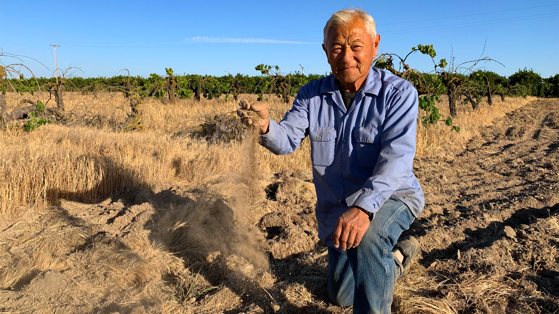 Farmer Mas Masumoto auf einen dürren Feld  | ARD-Studio Washington