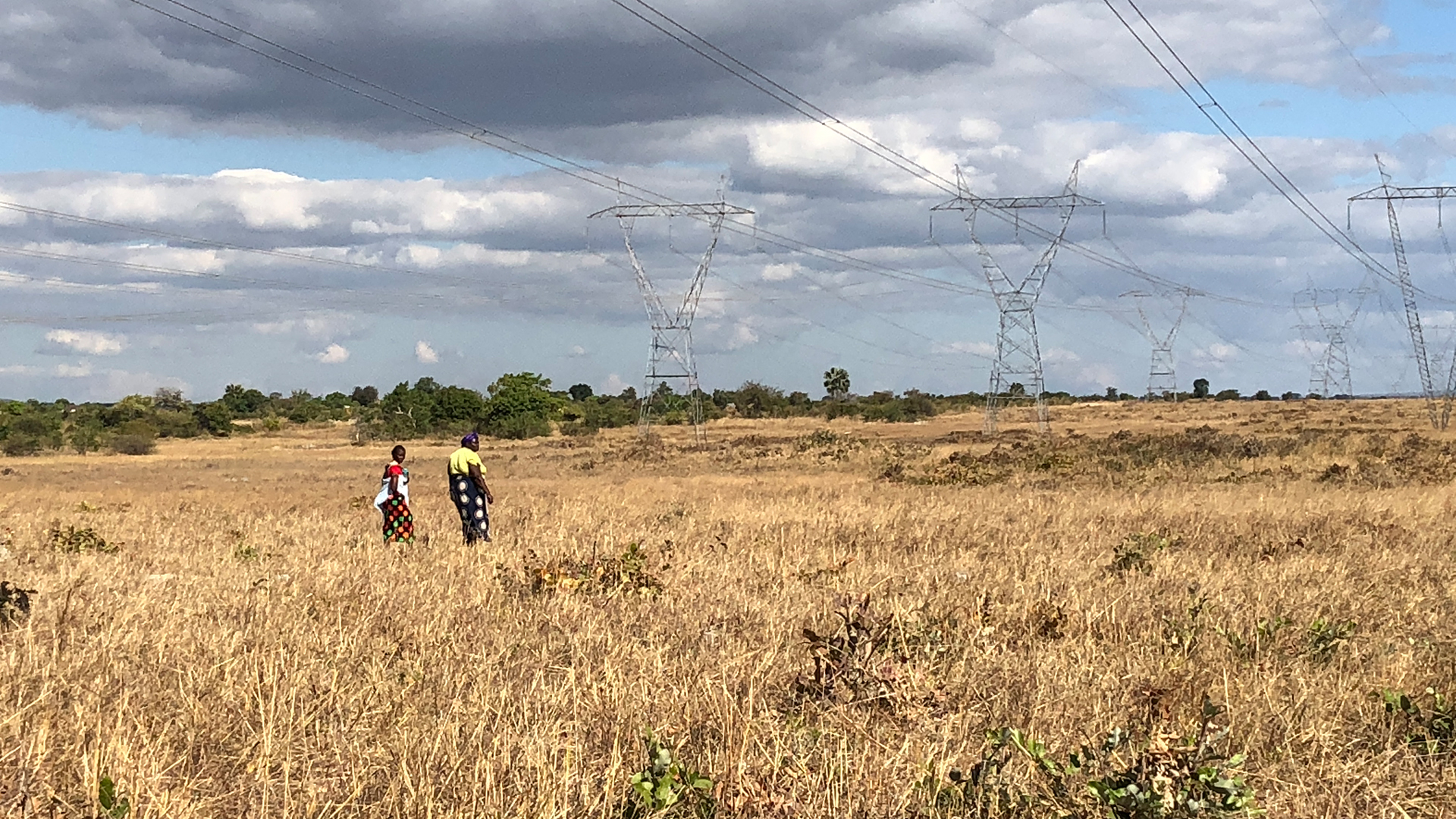Menschen gehen in der Region Chongwe in Sambia über ein Feld. | Jana Genth / ARD-Studio Johannesburg
