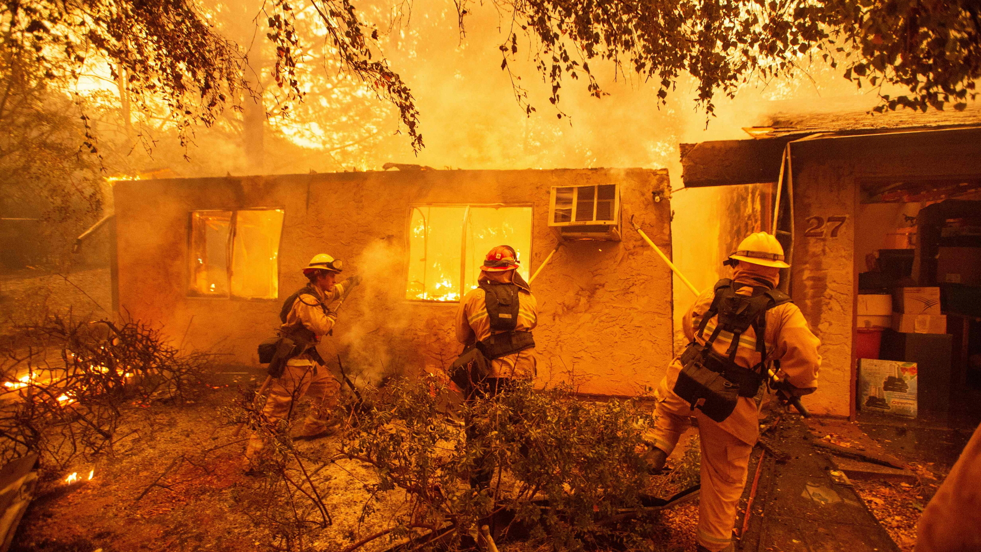 Feuerwehrmänner kämpfen gegen die Flammen. | Bildquelle: AFP