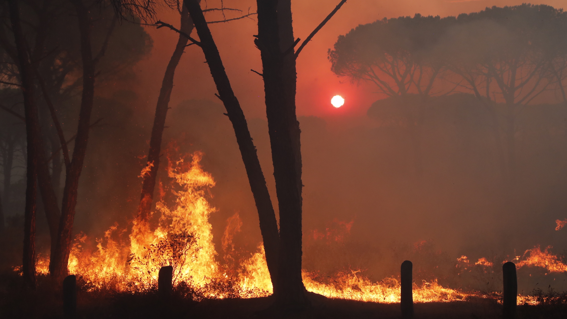 Feuer nahe Saint Tropez | EPA