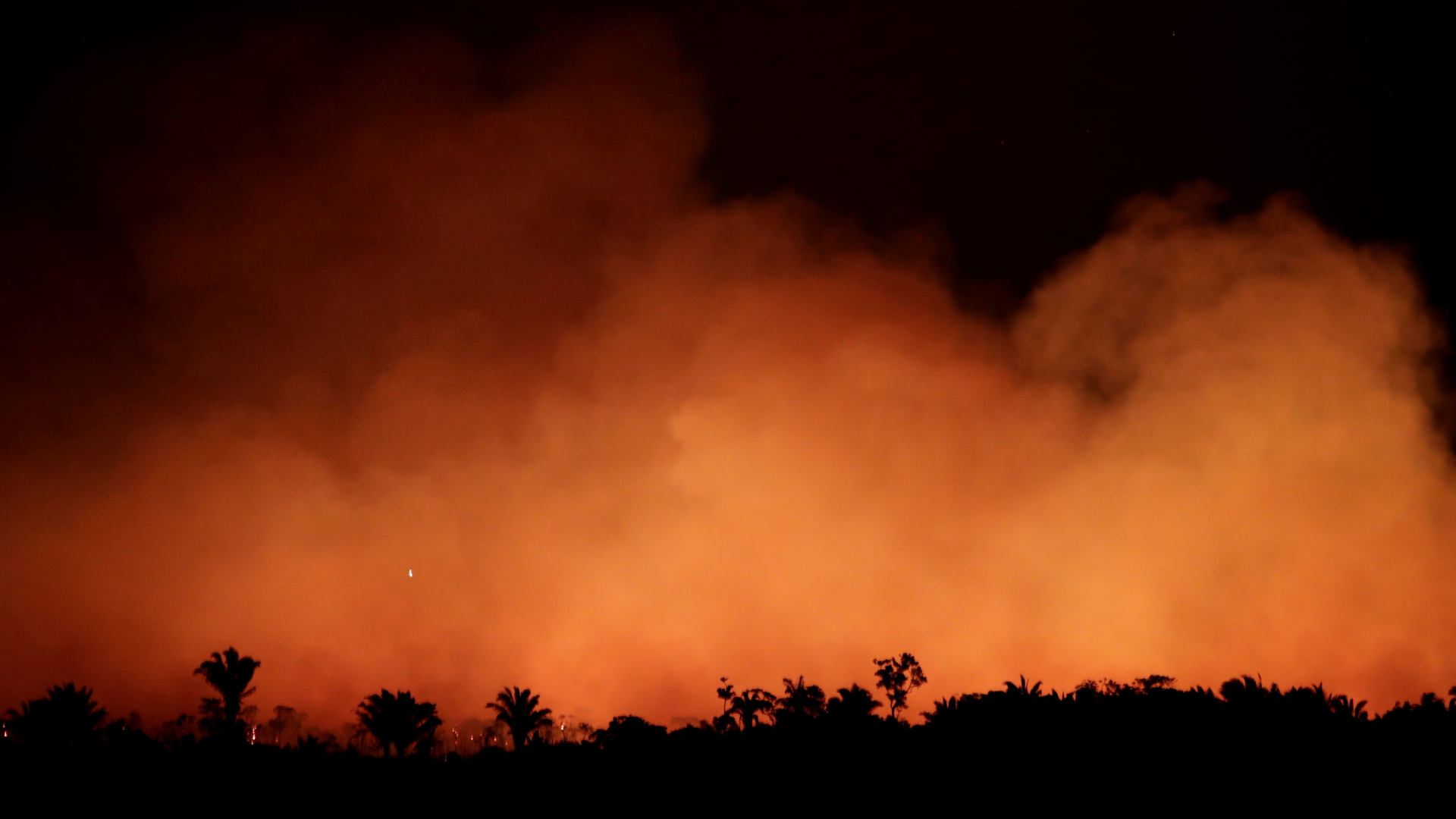 Flammen schlagen auf im Regenwald rund um den Amazonas in Brasilien. | REUTERS