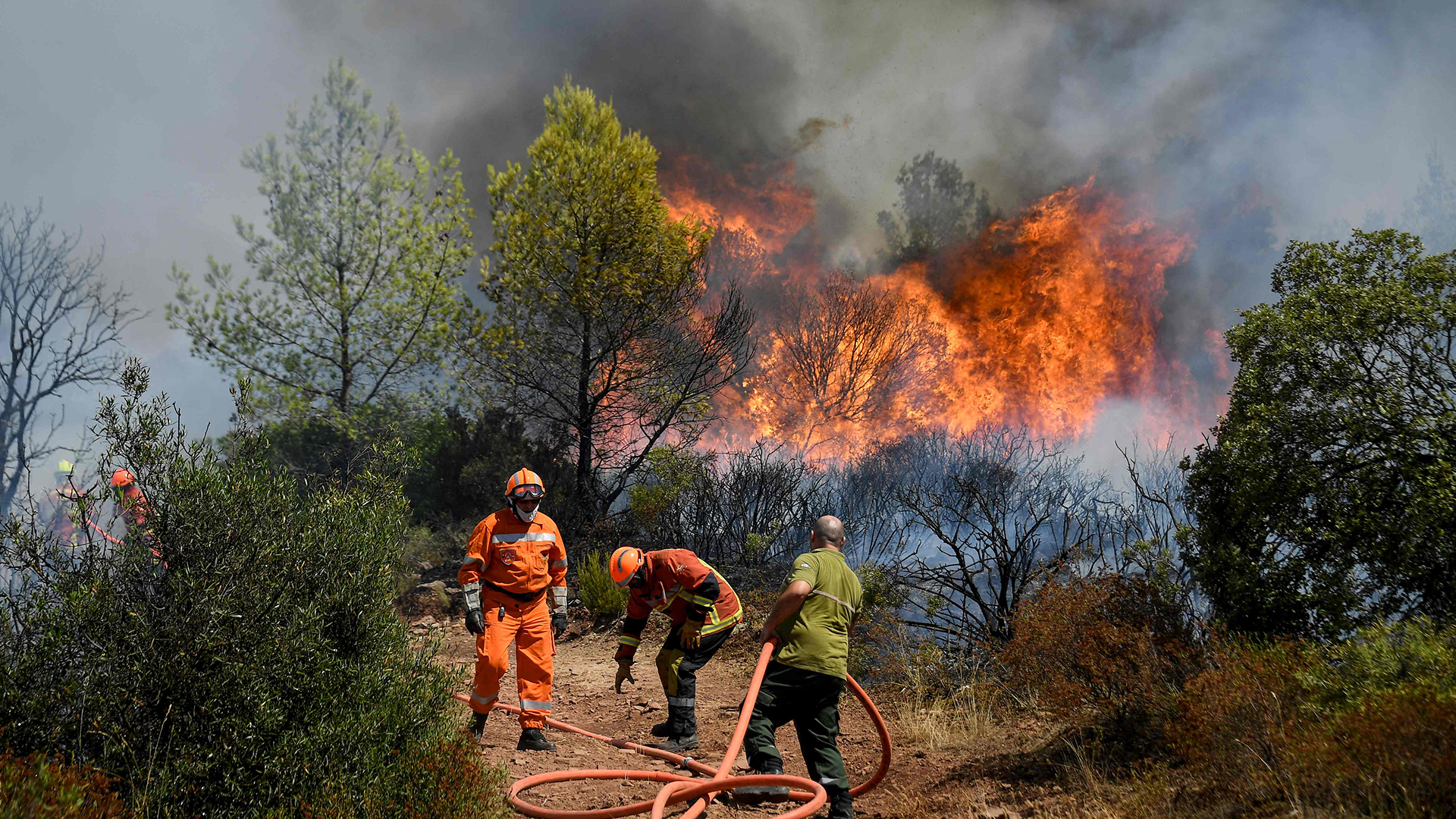 Die Feuerwehr bekämpft einen Waldbrand in Gonfaron (Frankreich). | AFP