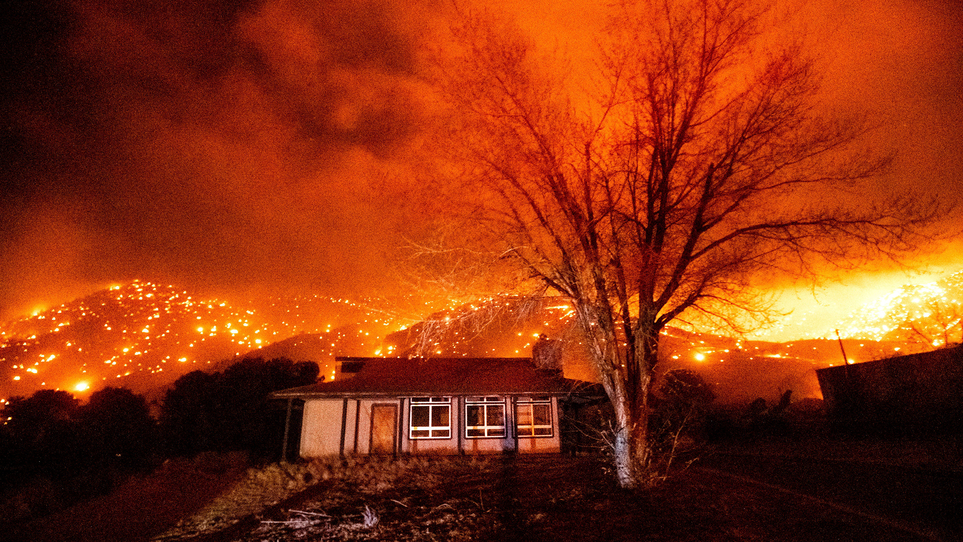 Waldbrände in Kalifornien | AP