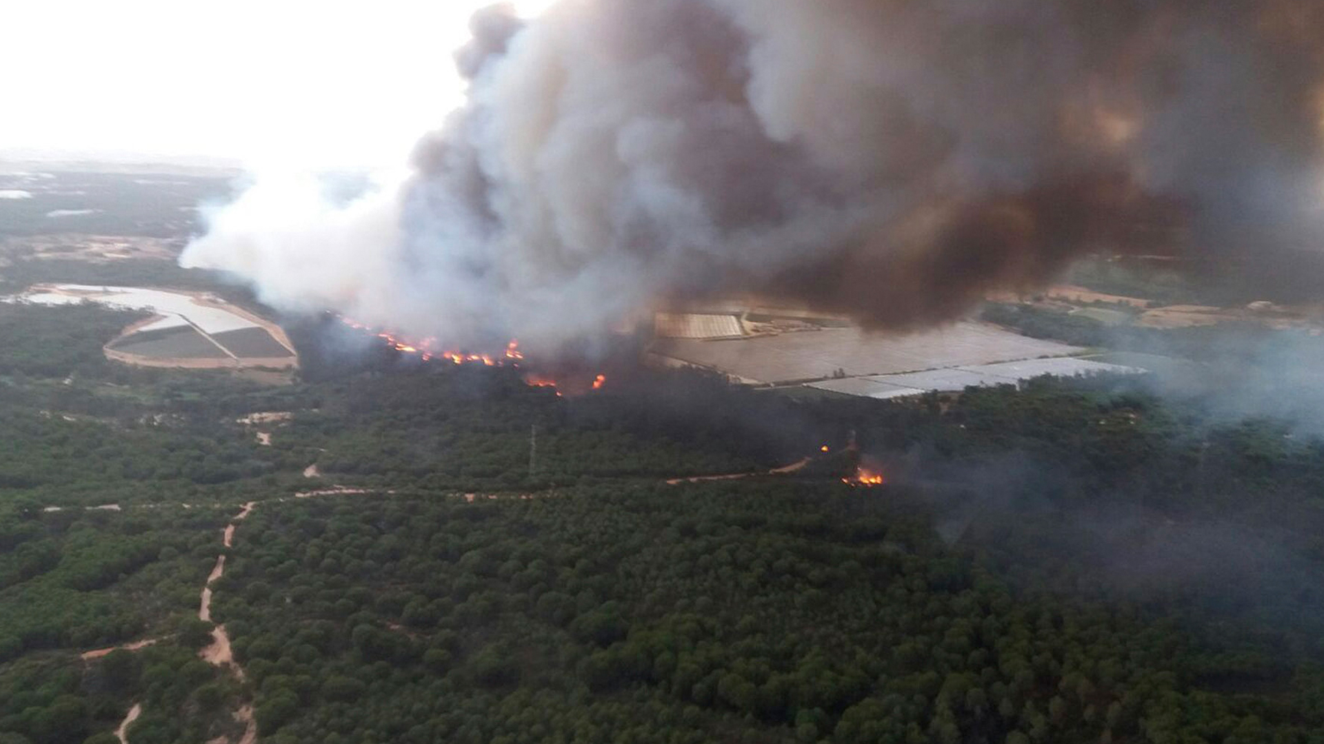 Feuer im Donana-Nationalpark | AP