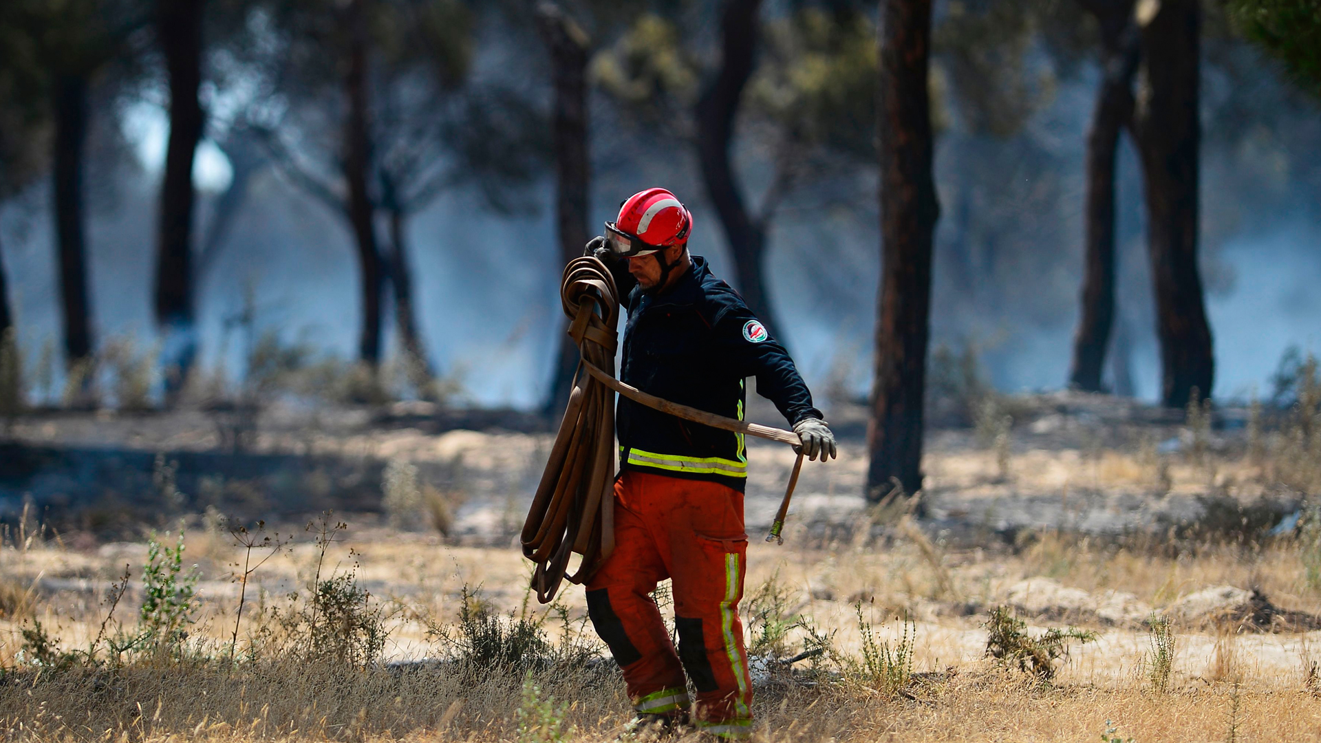 Feuer im Donana-Nationalpark | AFP