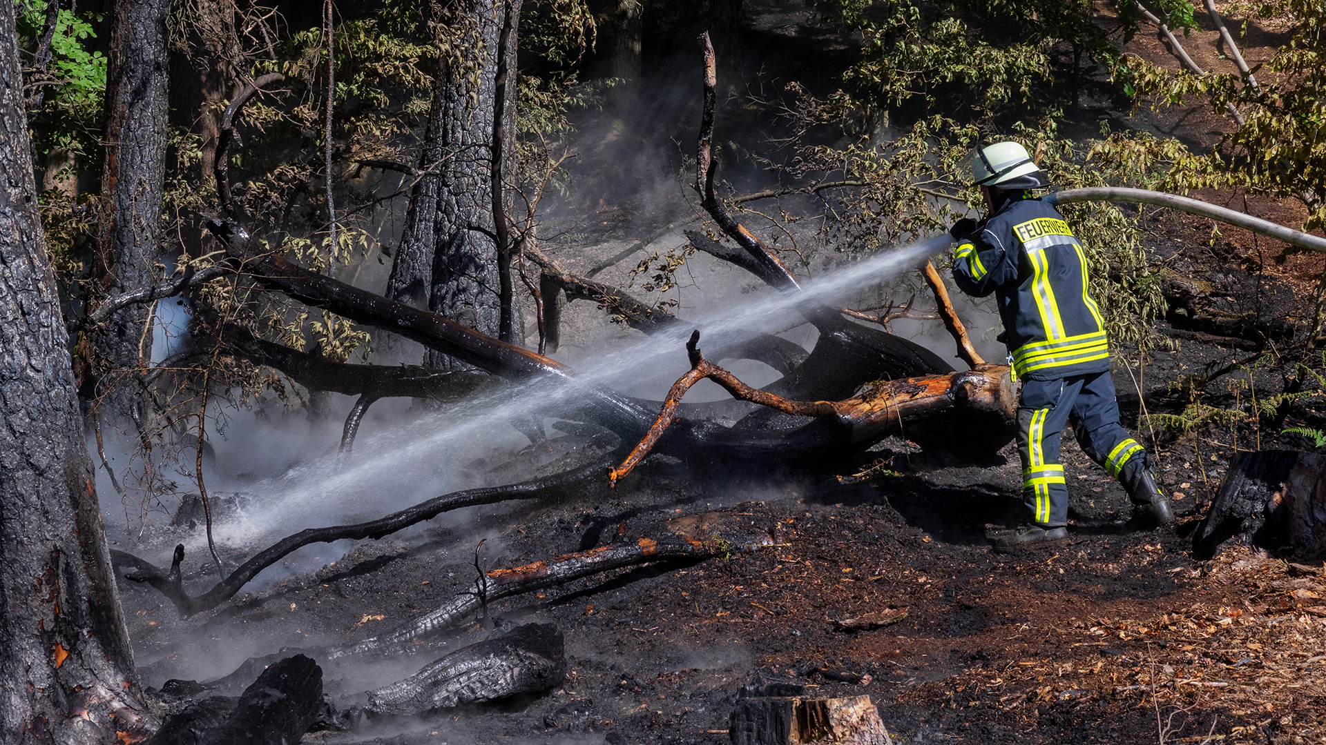 Ein Feuerwehrmann bei Löscharbeiten bei einem Waldbrand | dpa