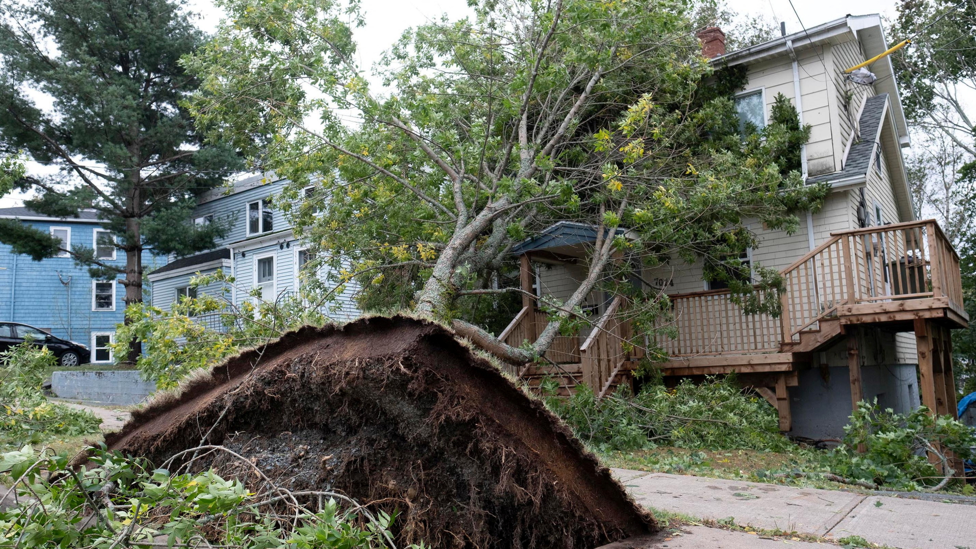 Ein durch den Wirbelsturm Fiona entwurzelter Baum ist auf ein Haus in Kanada gestürzt | REUTERS