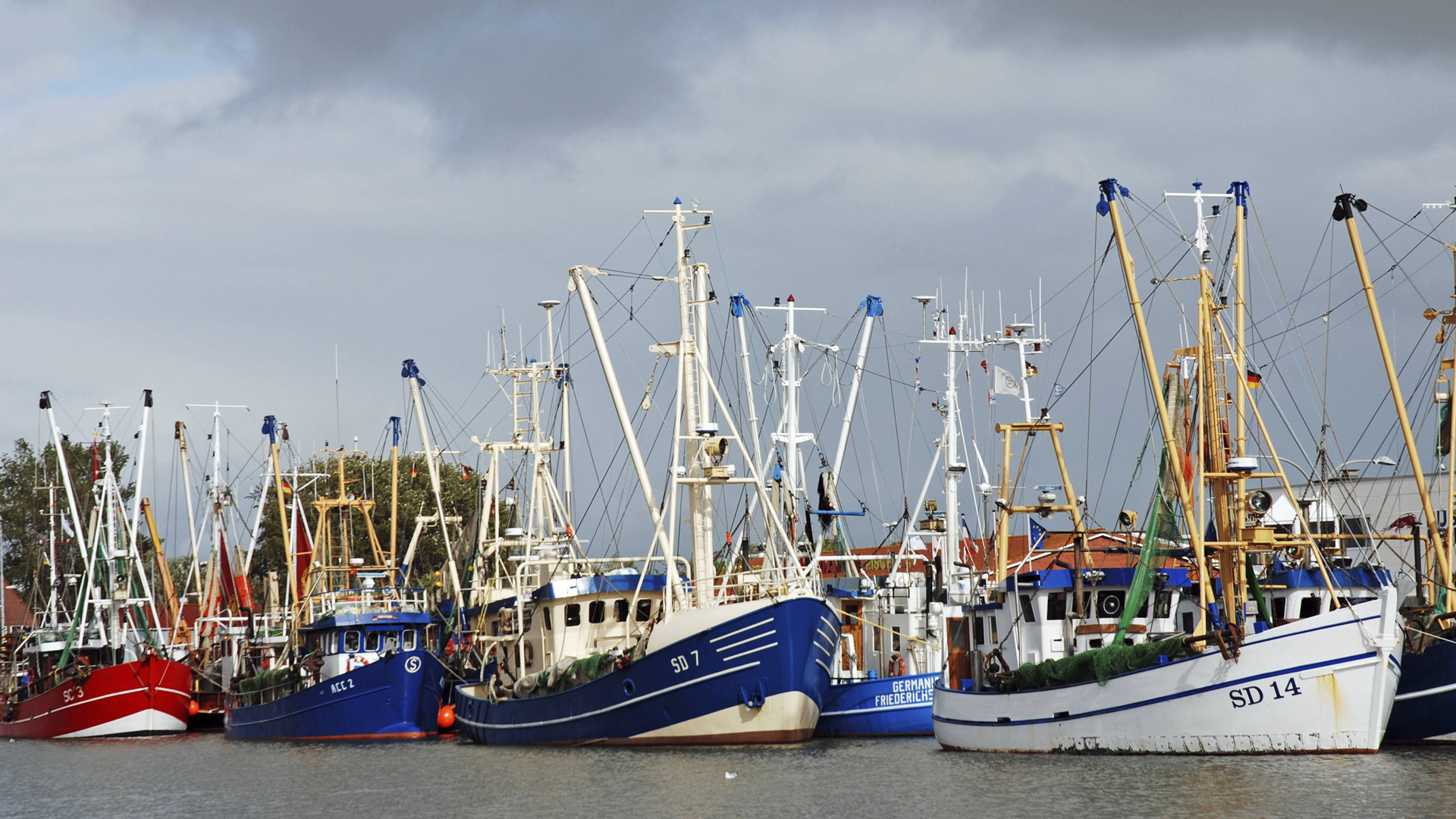 Fischerboote im Hafen von Büsum (Schleswig-Holstein) | picture alliance / blickwinkel/W