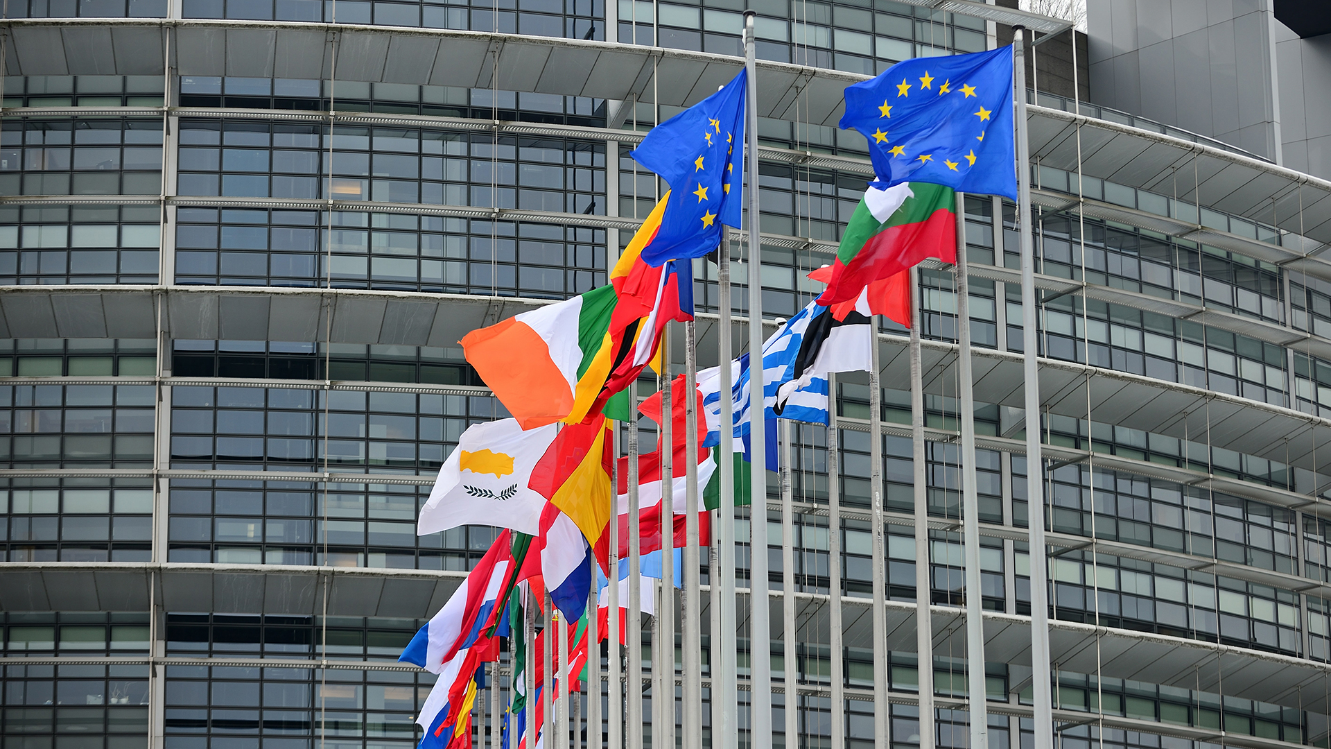 Die Flaggen der EU und der Mitgliedsstaaten | picture alliance / Daniel Kubirs
