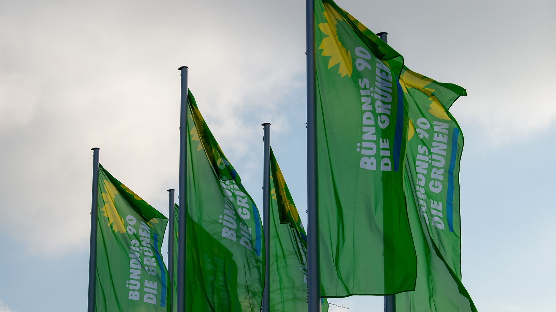 Flaggen mit dem Logo von Bündnis 90/Die Grünen wehen im Wind.