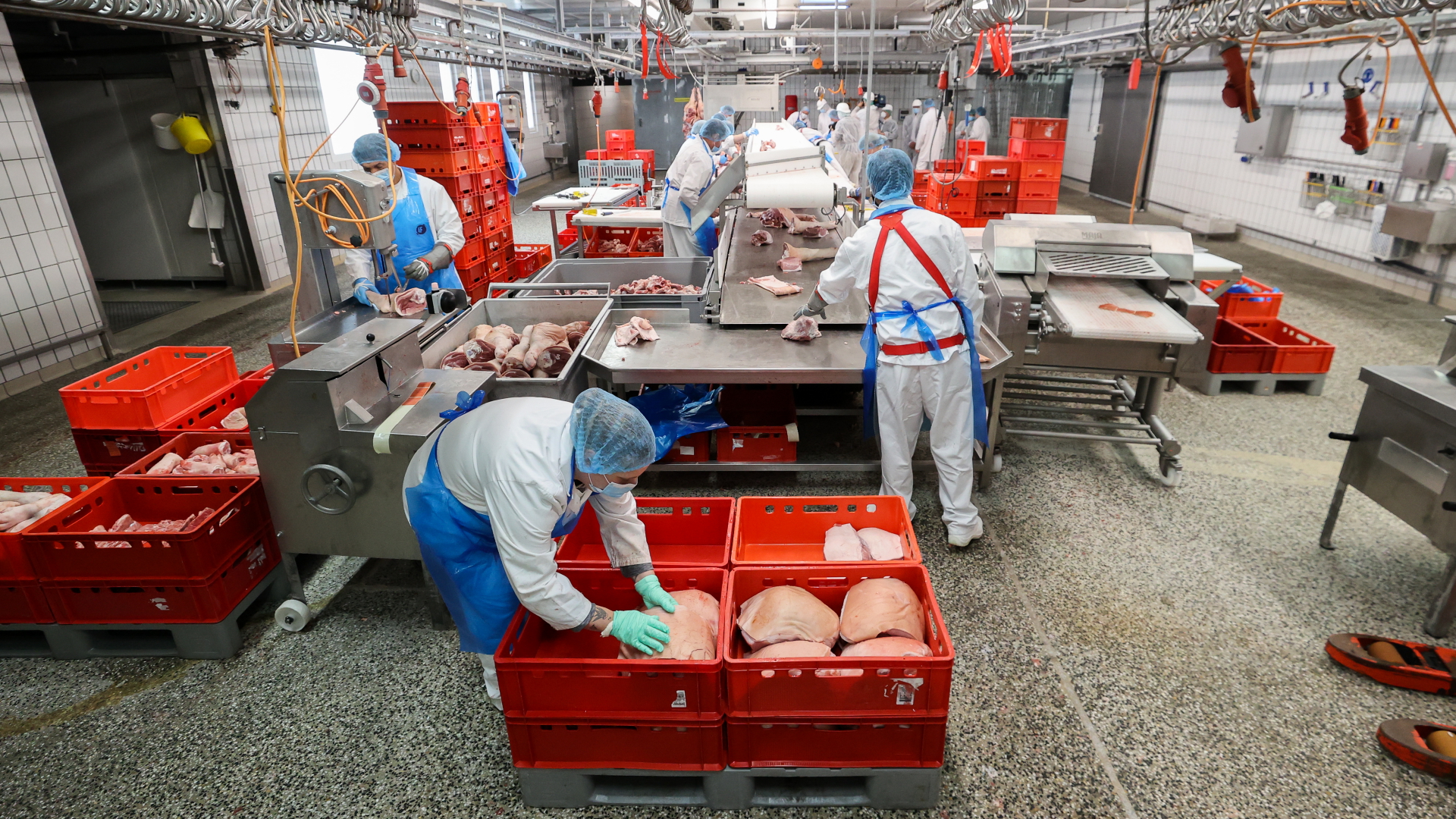 Mehrere Mitarbeiter eines Schlachtbetriebs in Sachsen beim Verpacken von Fleisch. | dpa