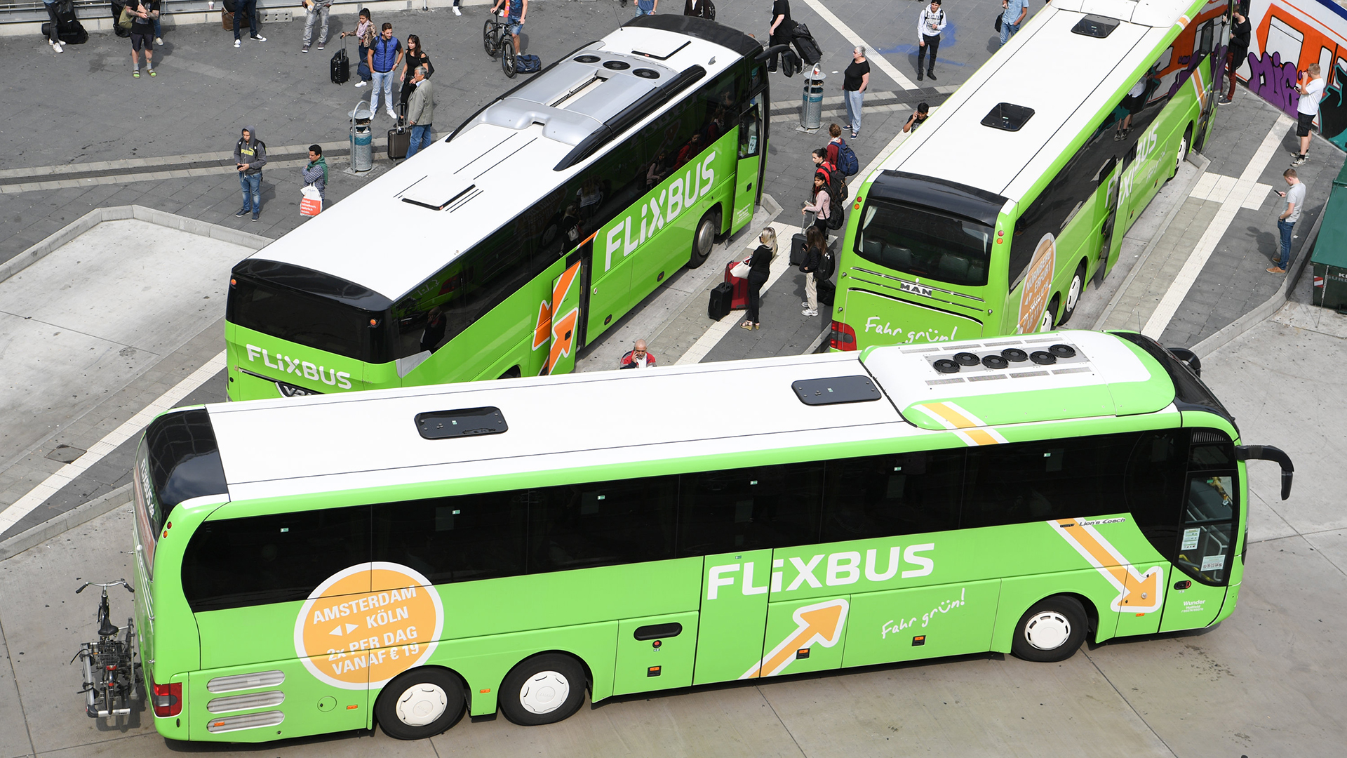 Busse des Unternehmens Flixbus stehen am Hauptbahnhof an einem Terminal für Fernbusse | dpa