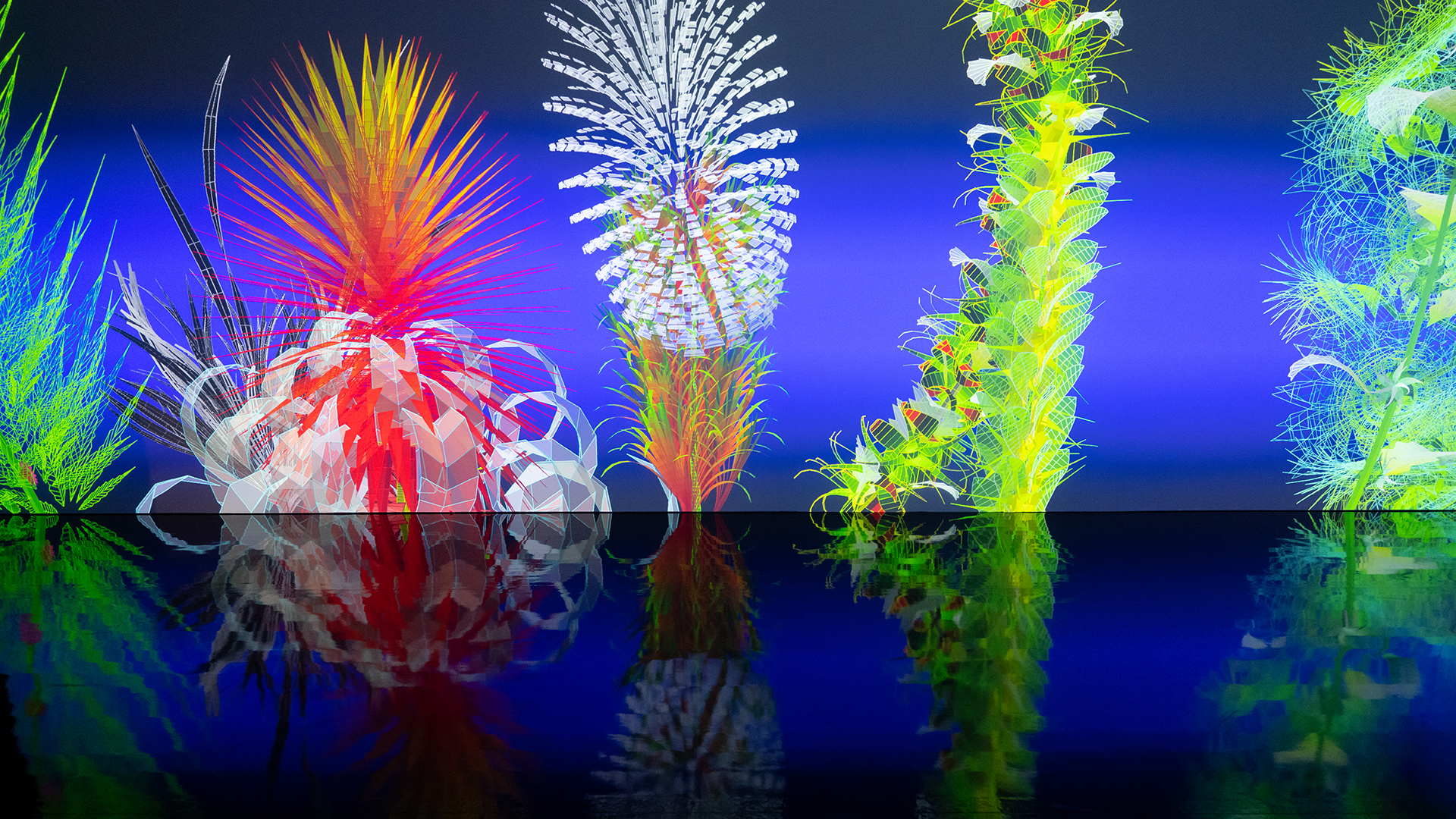 Die interaktive Installation von Miguel Chevalier zeigt bunte Blumen. | dpa