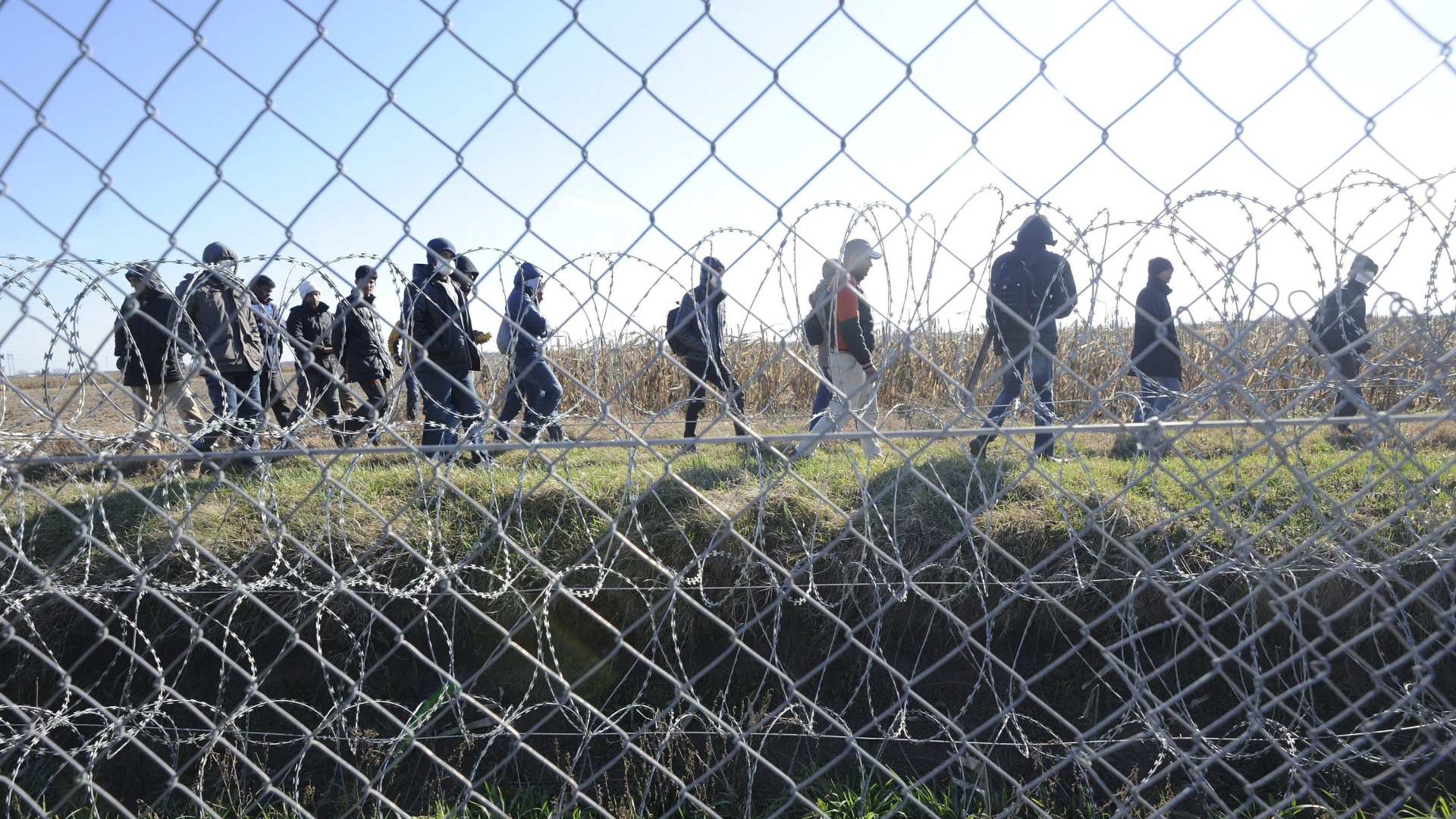 Flüchtlinge an der ungarischen Grenze