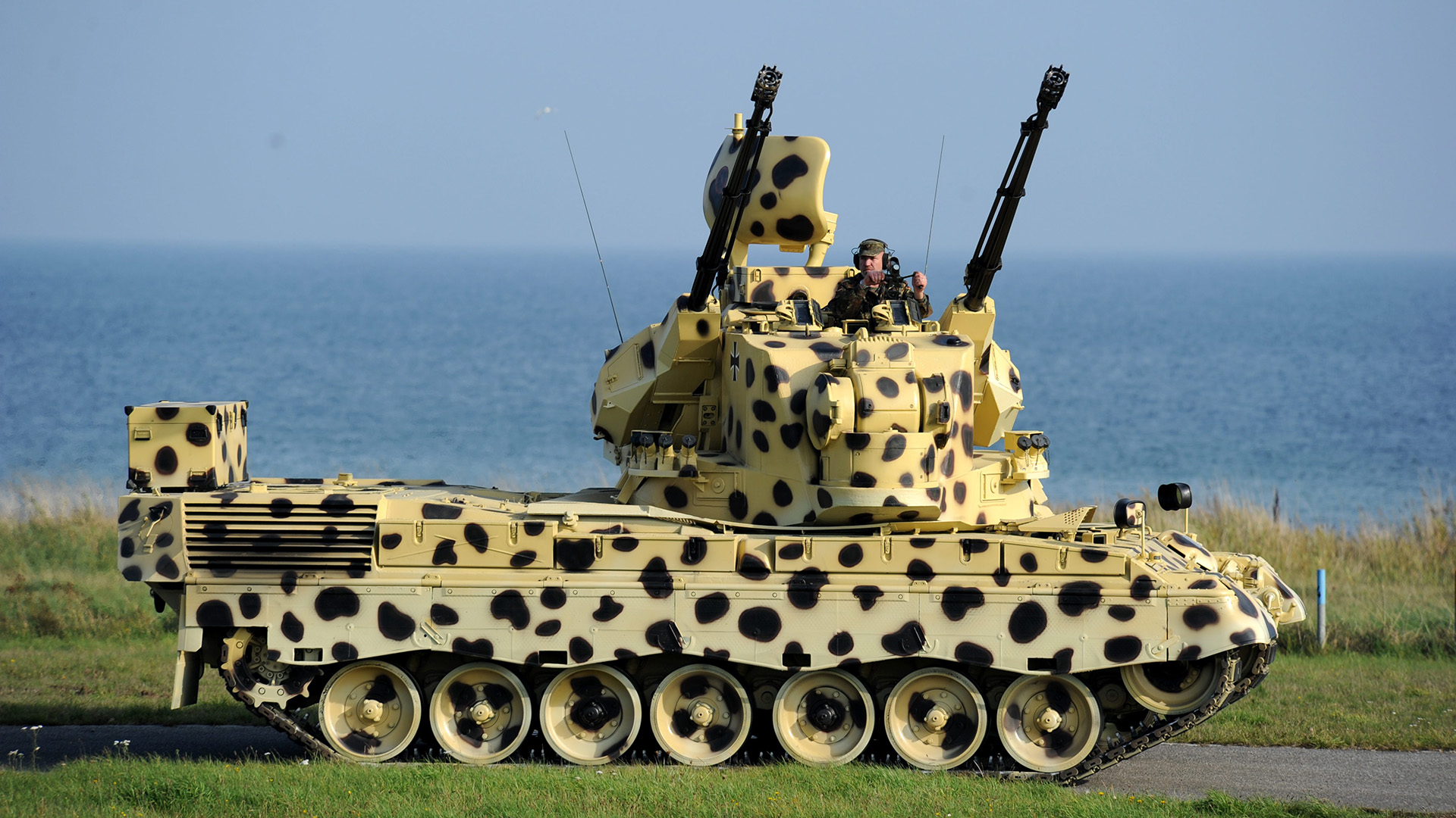 Flugabwehrpanzer Gepard | dpa