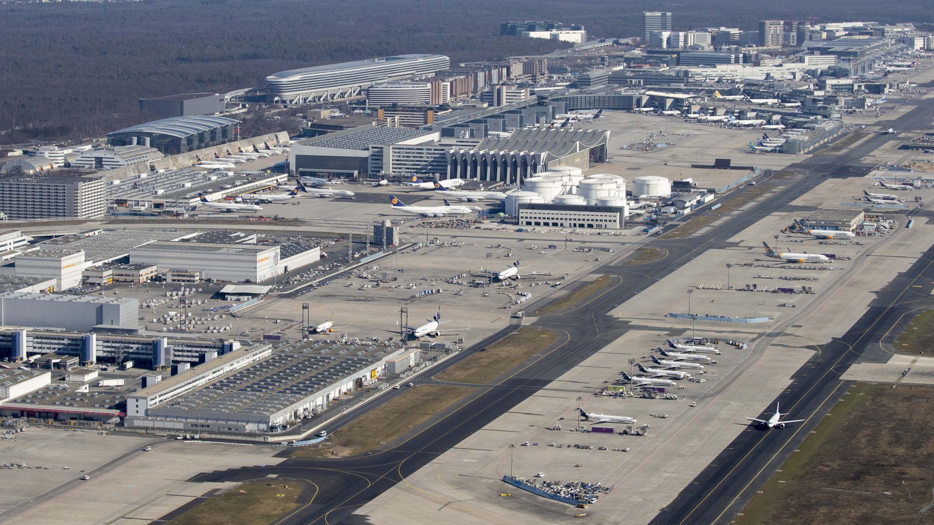 Luftaufnahme des Flughafens Frankfurt | dpa
