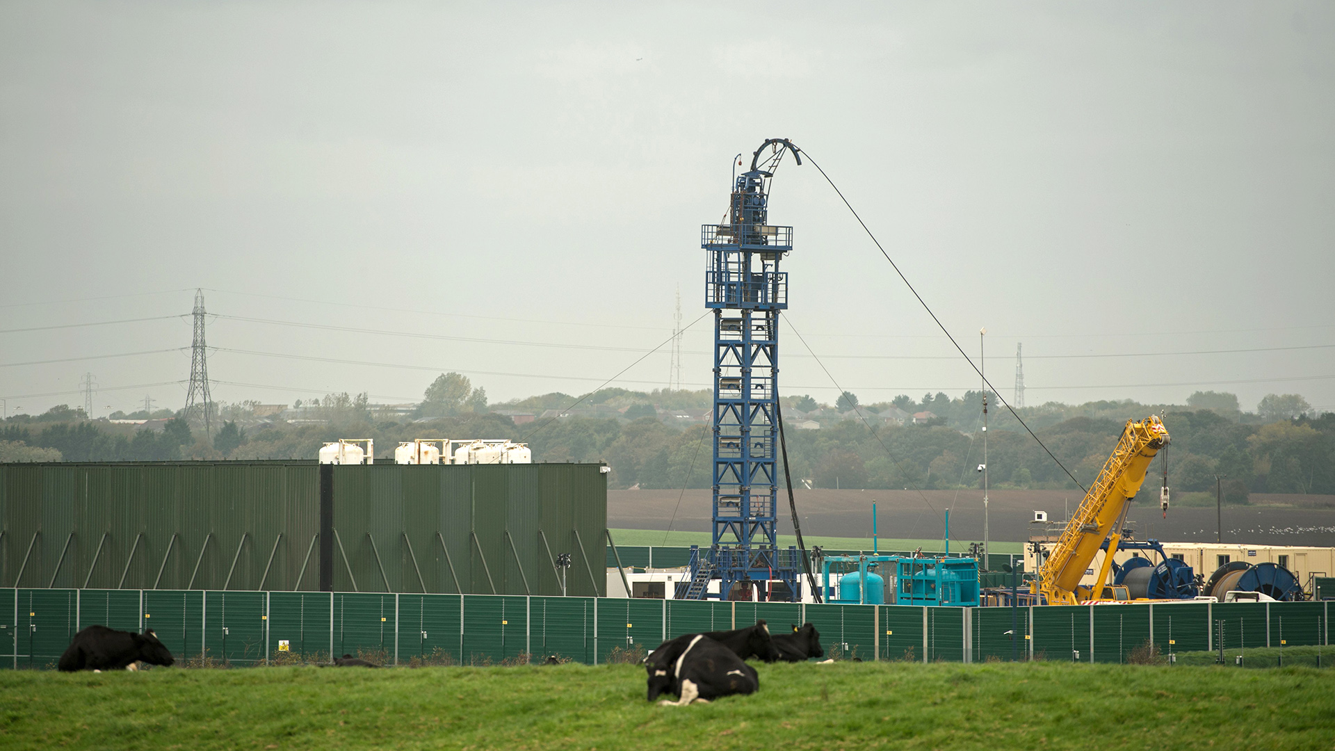 Kühe grasen vor dem Fracking-Projekt des Energieunternehmens Cuadrilla bei Preston New Road nahe Blackpool. | AFP