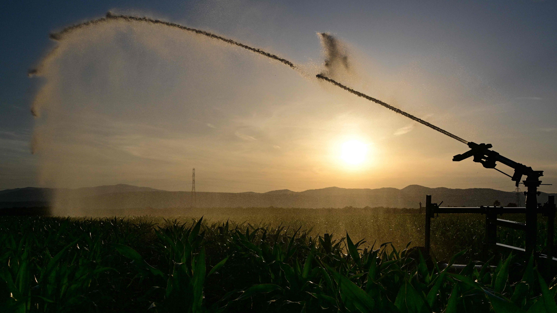 Eine automatische Bewässerungsanlage ist auf einem Feld in Ostfrankreich im Einsatz.  | Sebastien Bozon/AFP/dpa