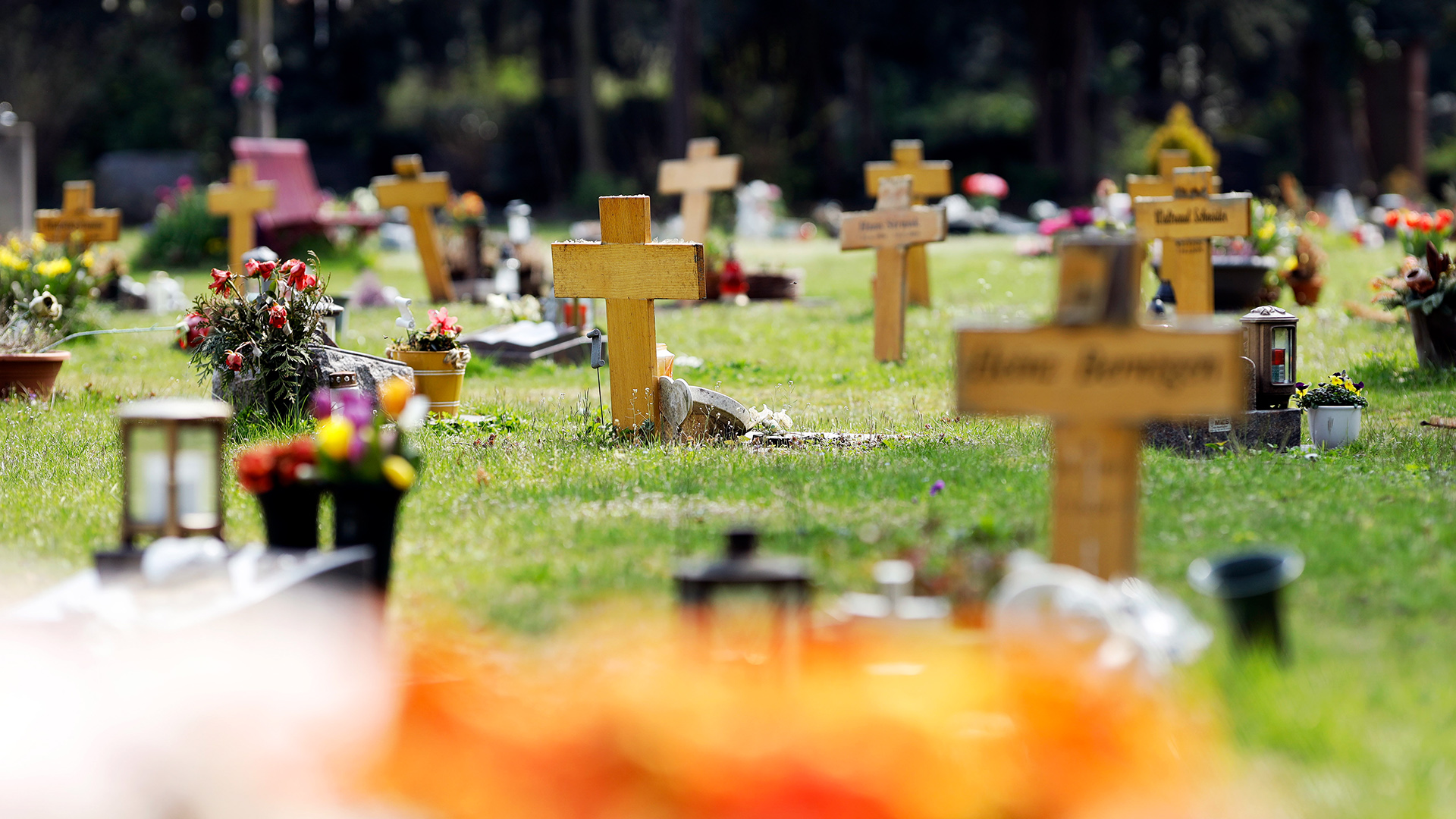 Gräber mit Holzkreuzen auf einem Friedhof | picture alliance / Geisler-Fotop