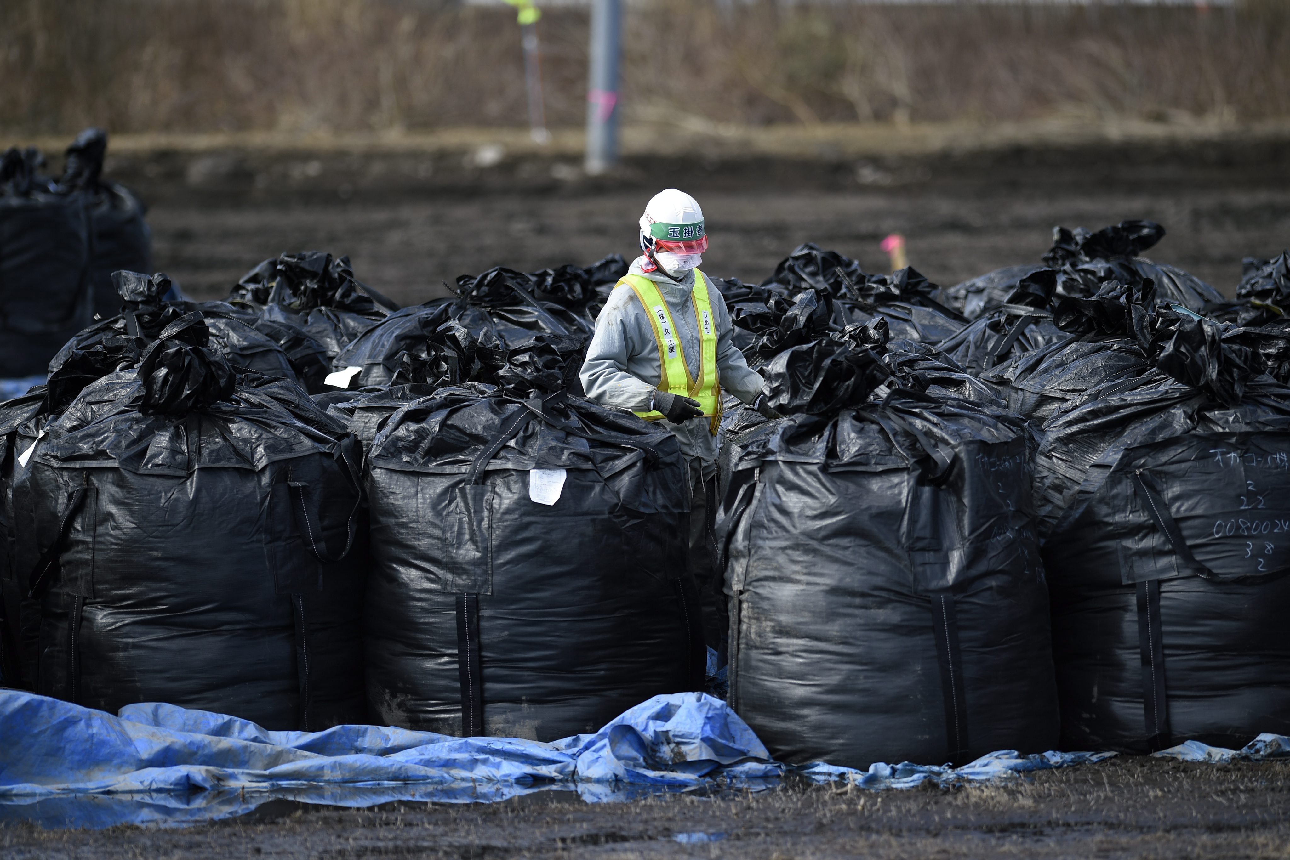 Kontaminierte Erde lagert in Säcken in der Gegend von Fukushima (Japan) | picture alliance / dpa