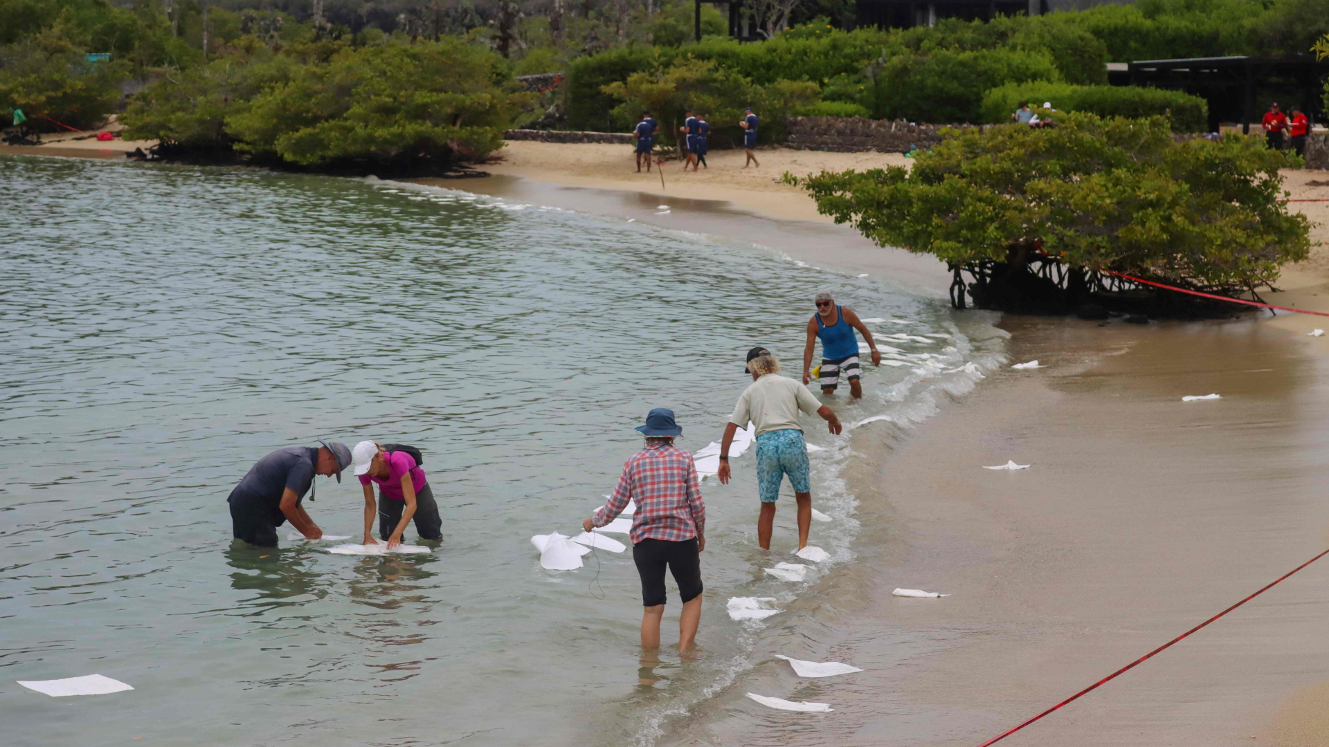 Freiwillige Helfer versuchen vor der Insel Santa Cruz, ausgelaufenen Treibstoff aufzufangen | AFP