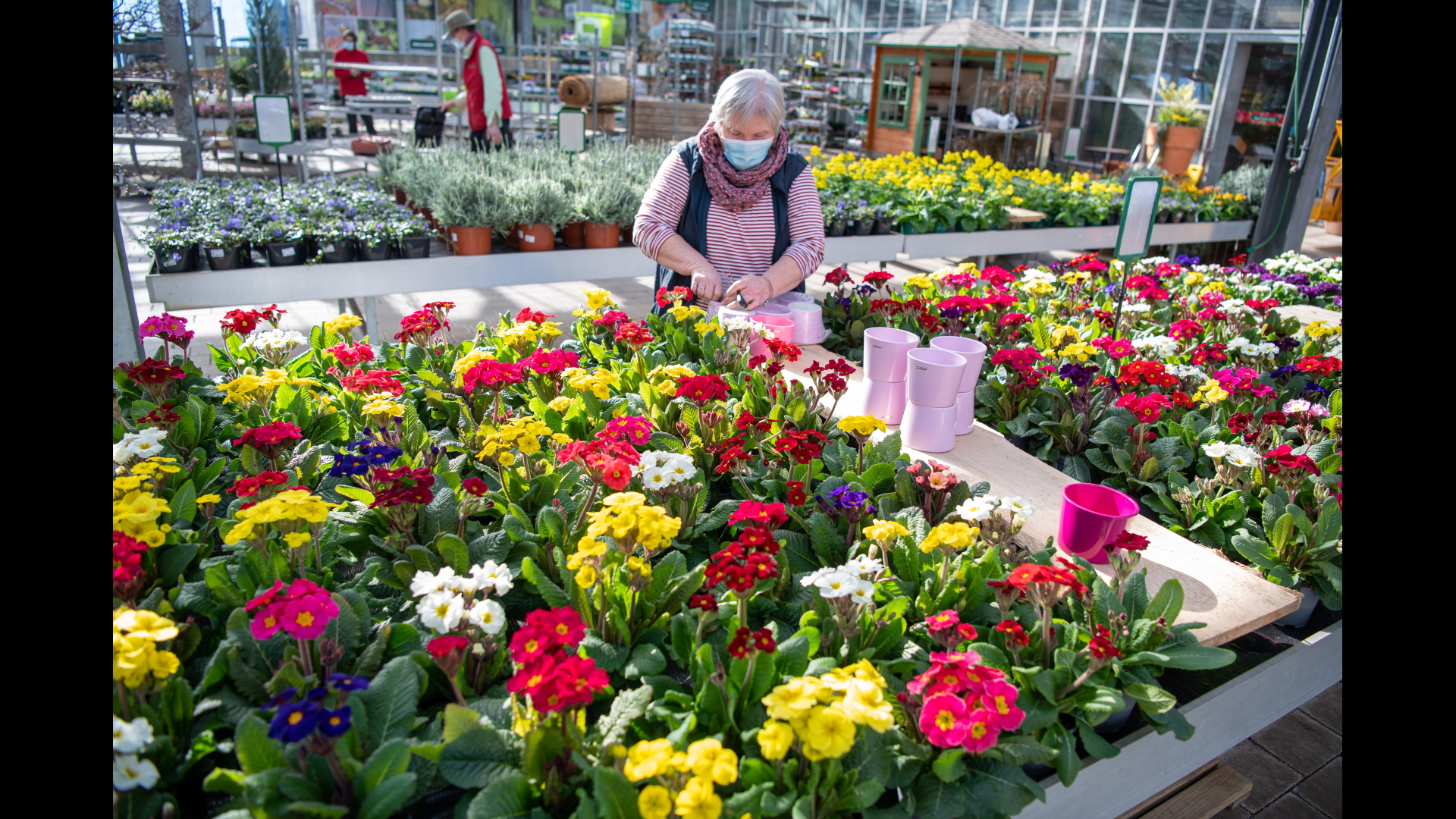 Eine Mitarbeiterin eines Gartencenters in München richtet Blumen her. Ab dem 1. März wird hier wieder verkauft. | dpa