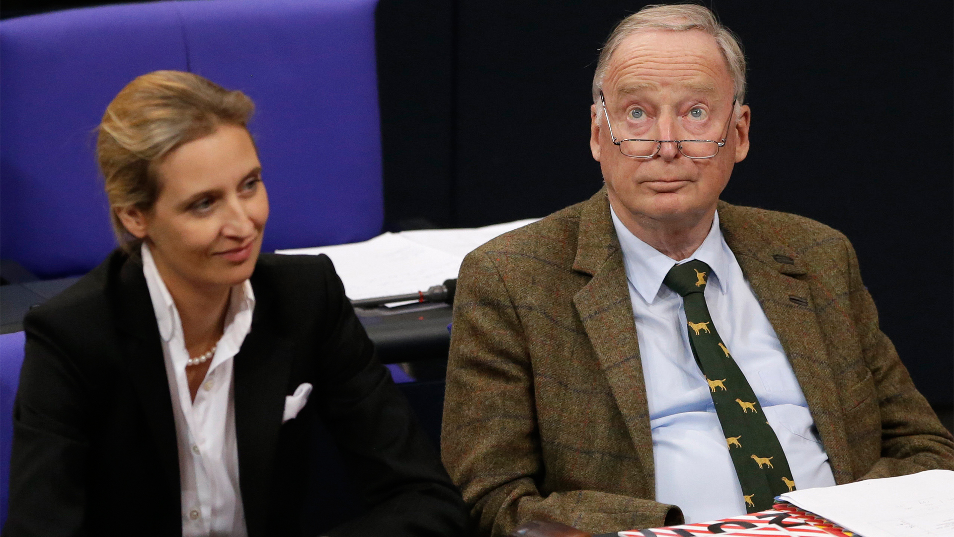 Alice Weidel und Alexander Gauland im Bundestag | AP