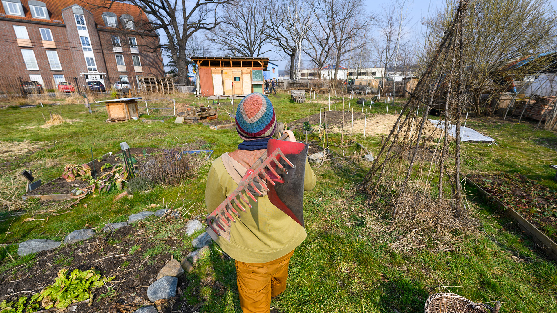 Ein Mitglied des Gemeinschaftsgartens Wurzelwerk Pieschen läuft mit Gartengeräten durch die Anlage. | picture alliance/dpa/dpa-Zentral