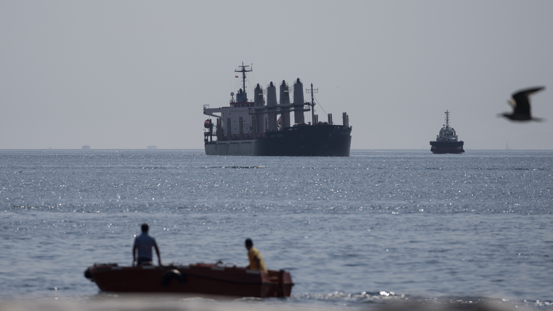 Ein mit Getreide beladene Frachtschiff ankert im Marmarameer  | dpa