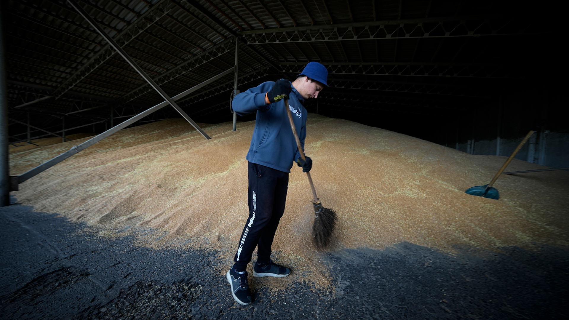 Ein Arbeiter trocknet das Getreide in einem landwirtschaftlichen Betrieb in Kalmychanks im Bezirk Starobilsk. | dpa