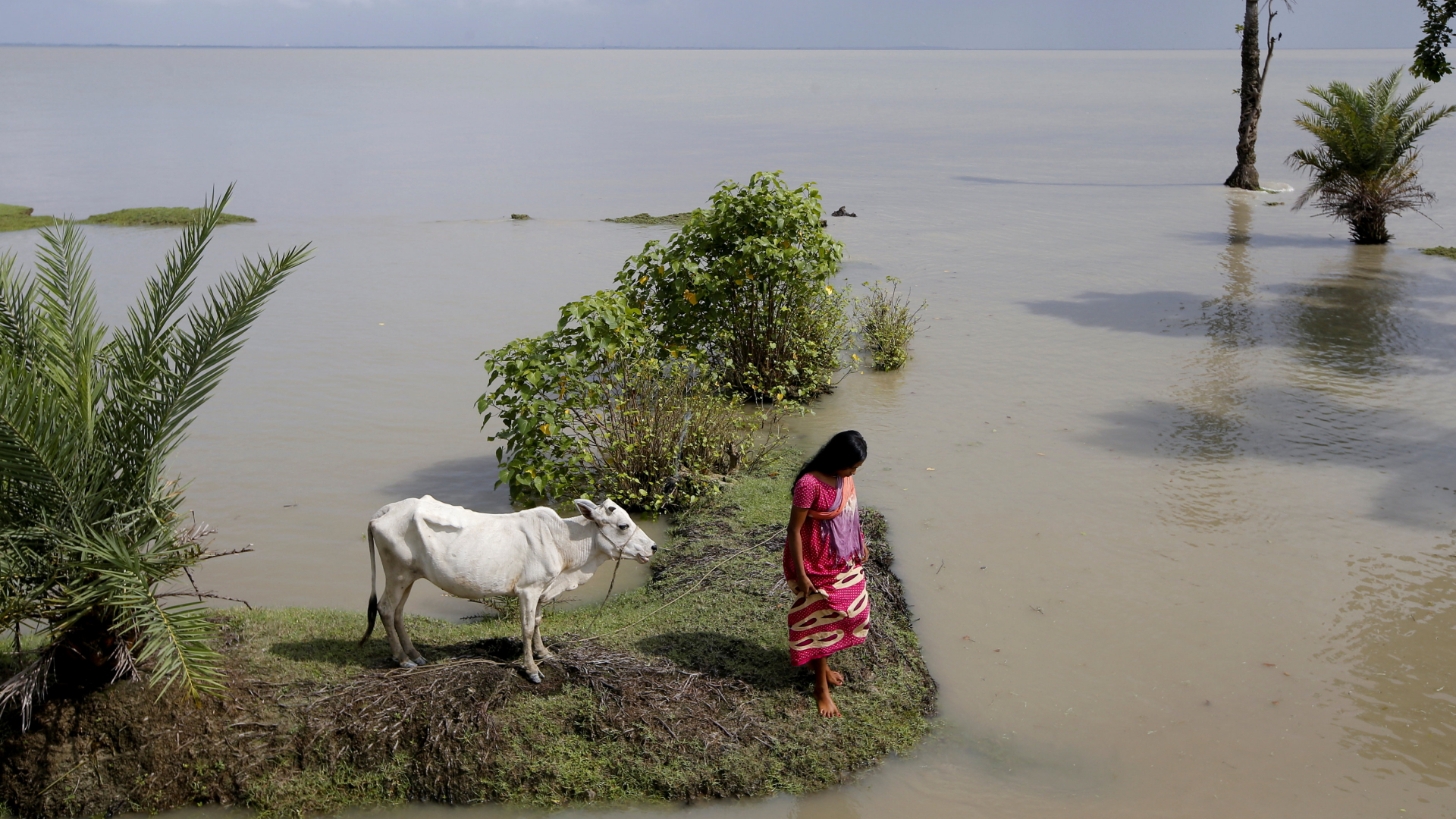 Eine Frau steht vor einem überfluteten Feld auf der Insel Ghoramara  | REUTERS