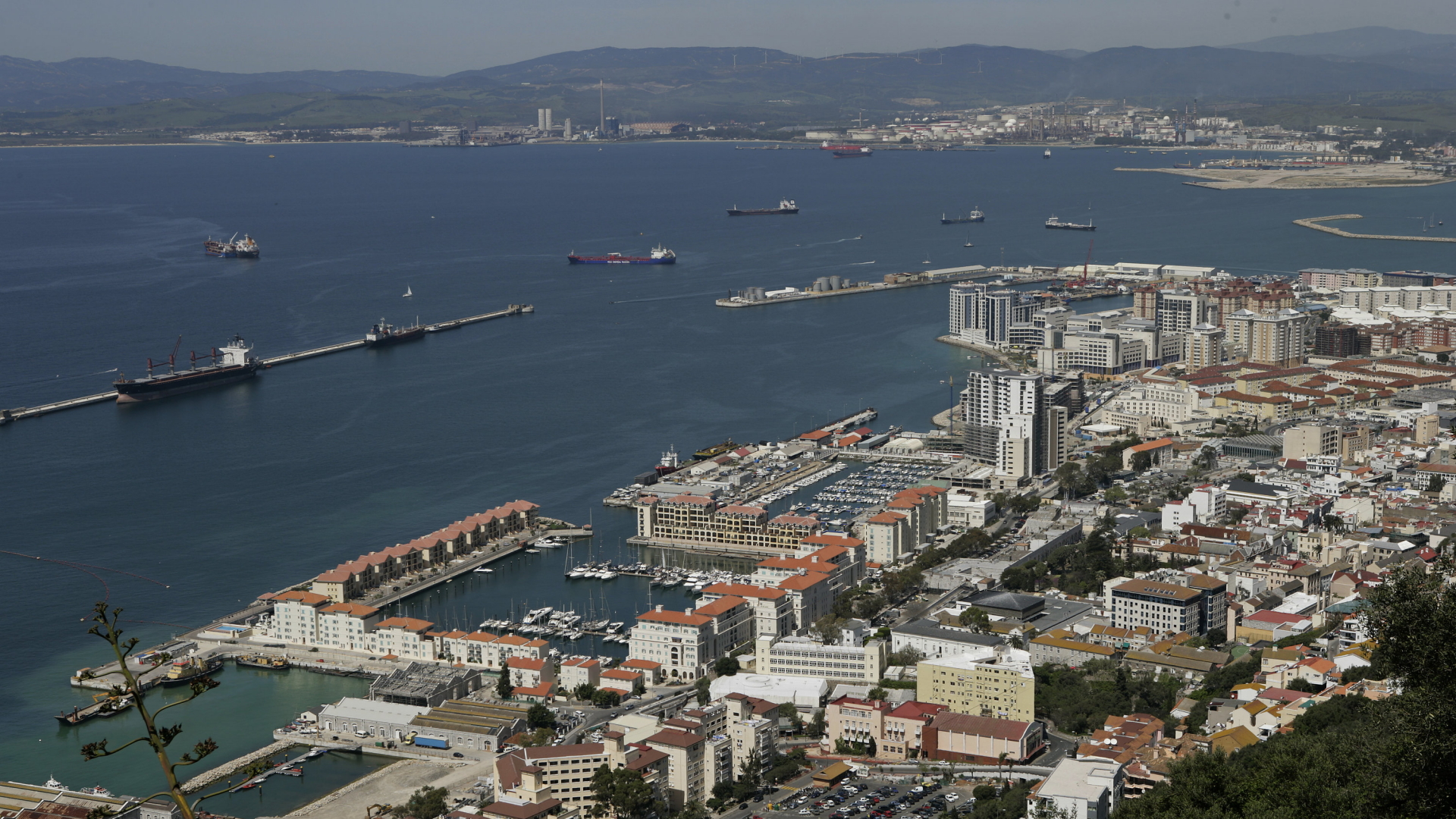Blick auf Gibraltar | dpa