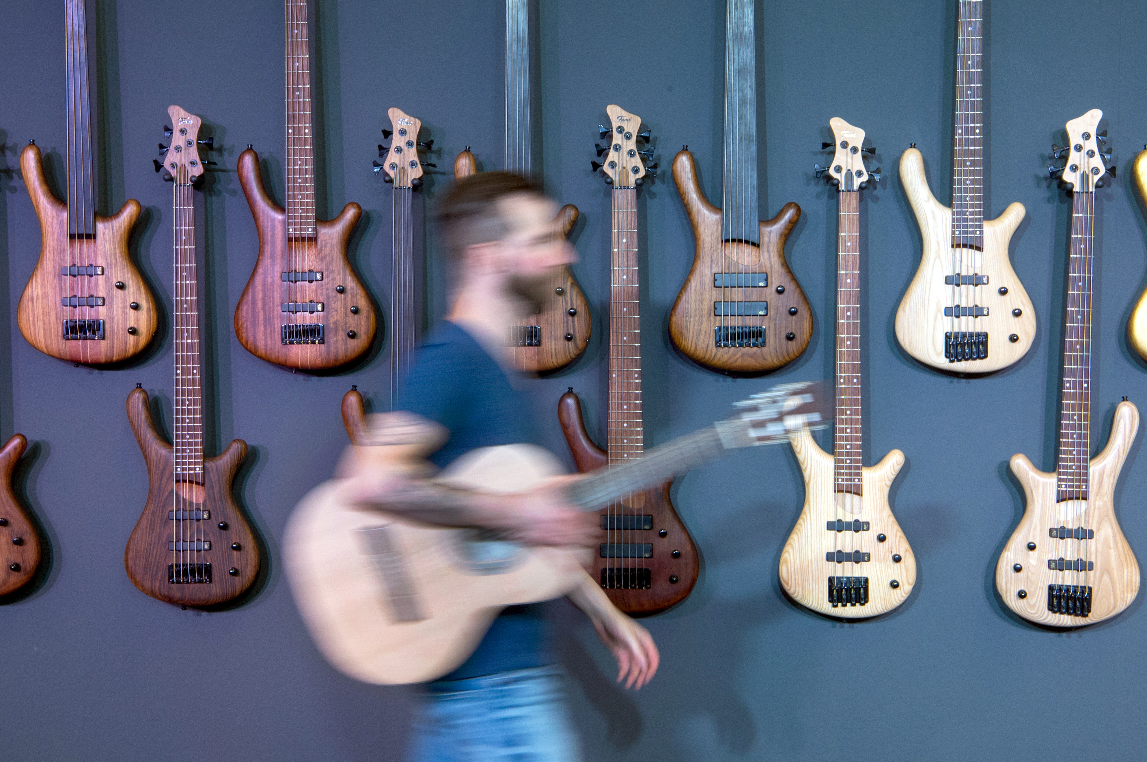 Bass-Gitarren hängen an einer Wand. | picture alliance / Boris Roessler/dpa