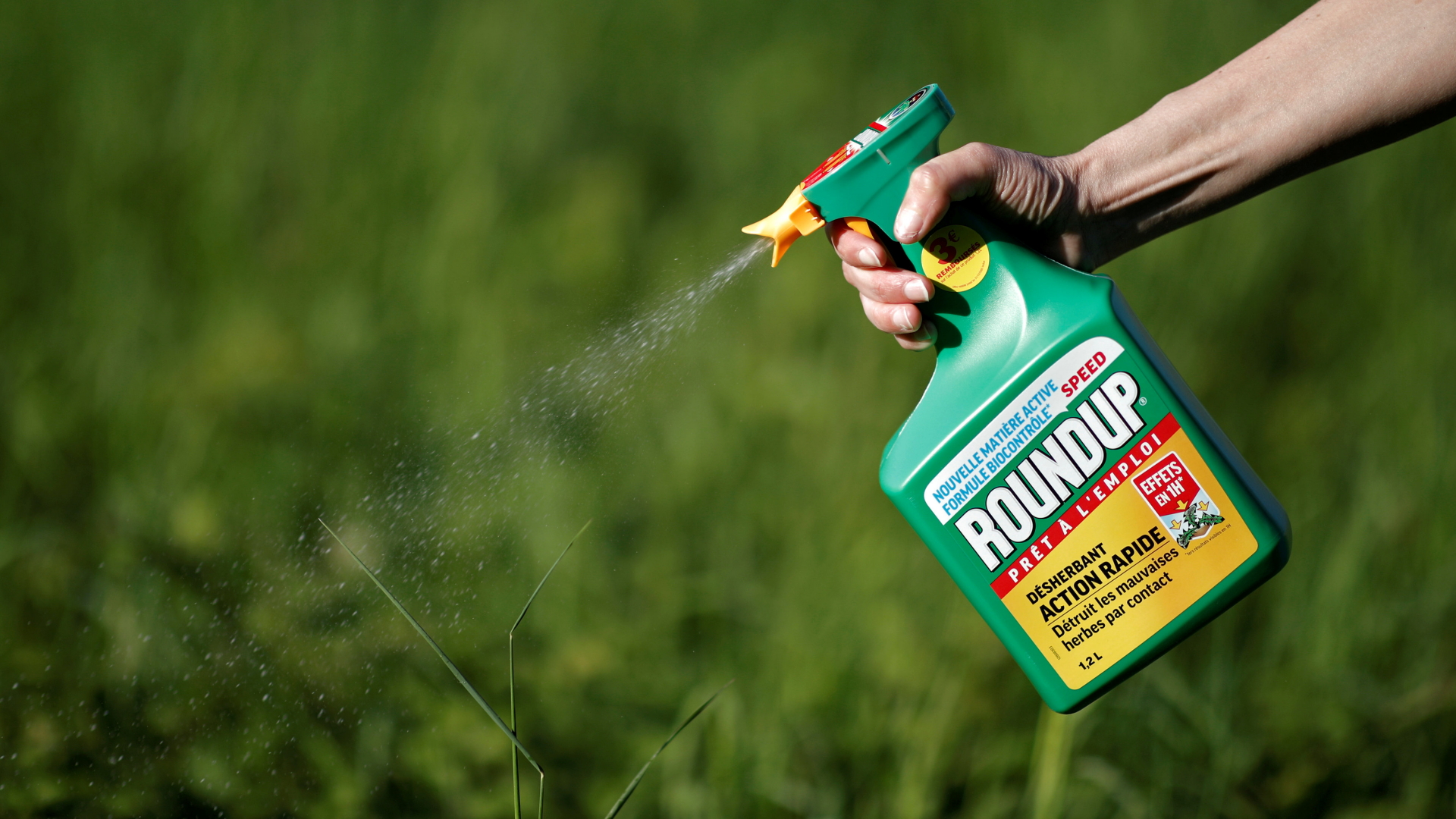 Eine Frau sprüht Unkrautvernichtungsmittel der Marke Roundup auf eine Pflanze. | REUTERS