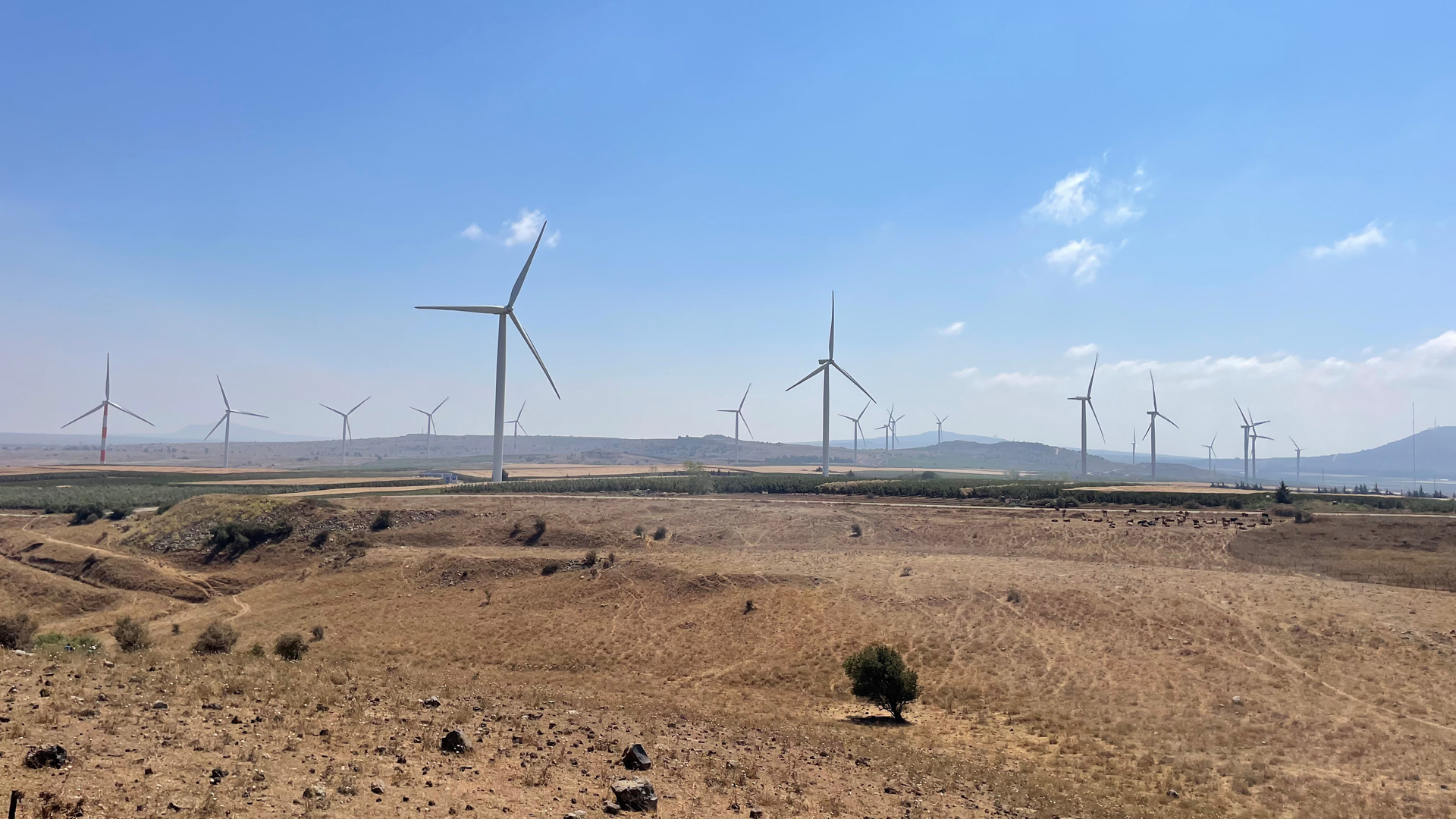 Windkraftanlagen auf den Golanhöhen. | ARD-Studio Tel Aviv