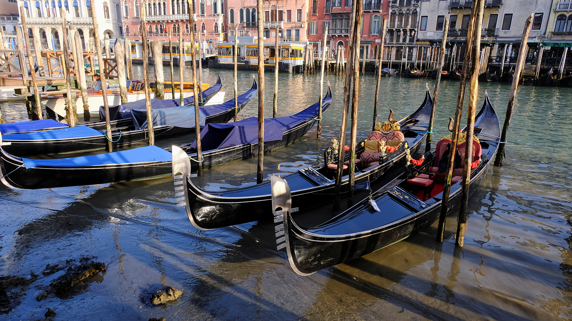 Gondeln sind im Canal Grande während eines außergewöhnlichen Niedrigwassers in der italienischen Lagunenstadt Venedig zu sehen.