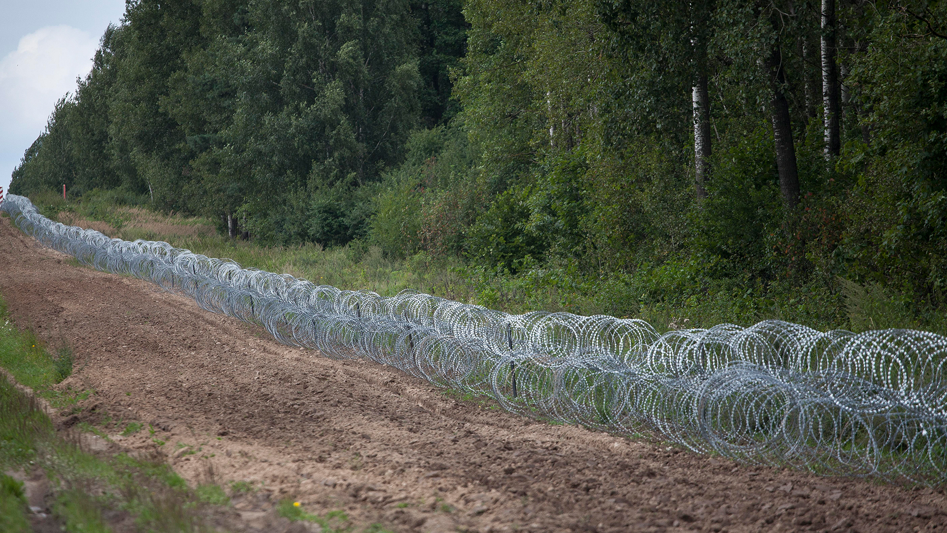 Stacheldraht liegt an der polnisch-belarusischen Grenze bei Krynki am Boden. | picture alliance / NurPhoto