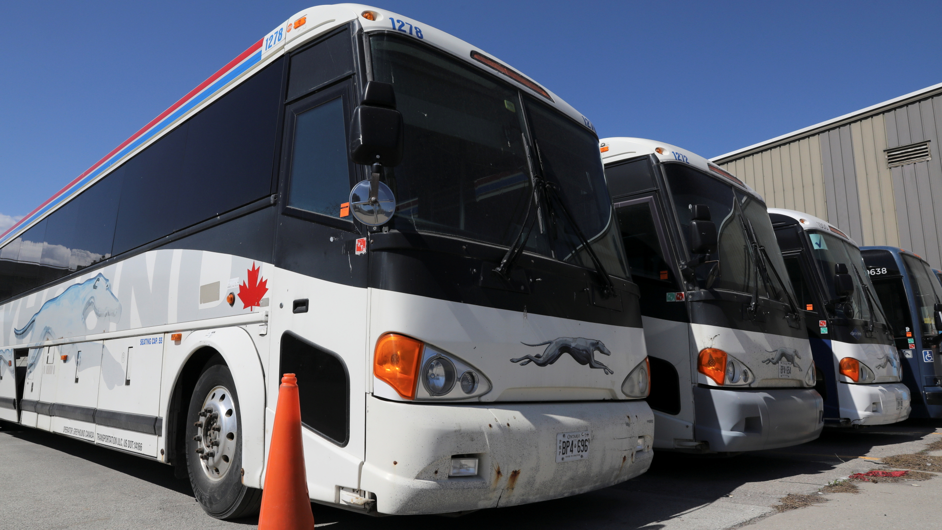 Busse des Unternehmens Greyhound parken auf einem Gelände in Toronto | REUTERS