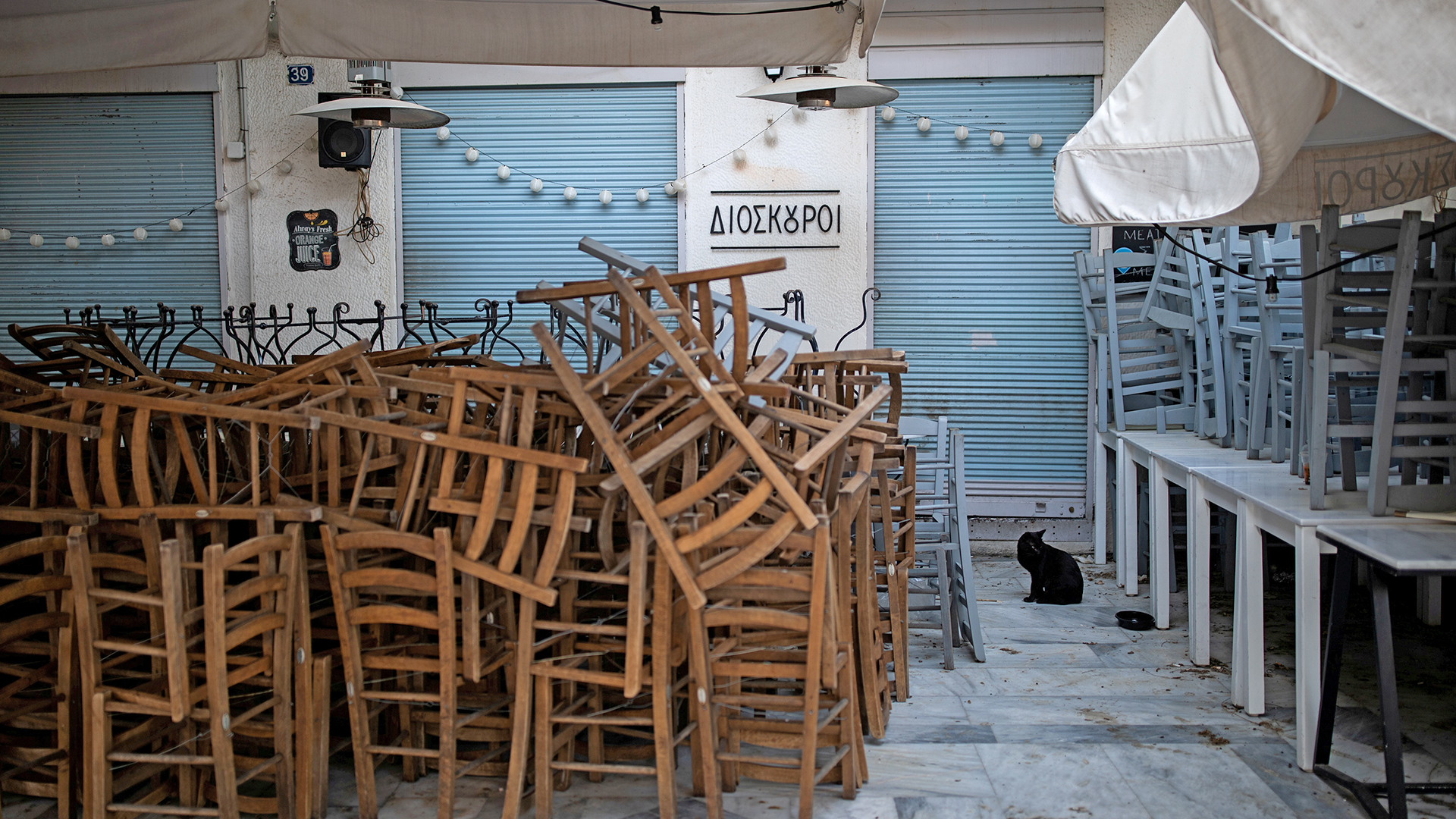 Katze sitzt neben gestapelten Stühlen einer geschlossenen Bar in Athen | REUTERS